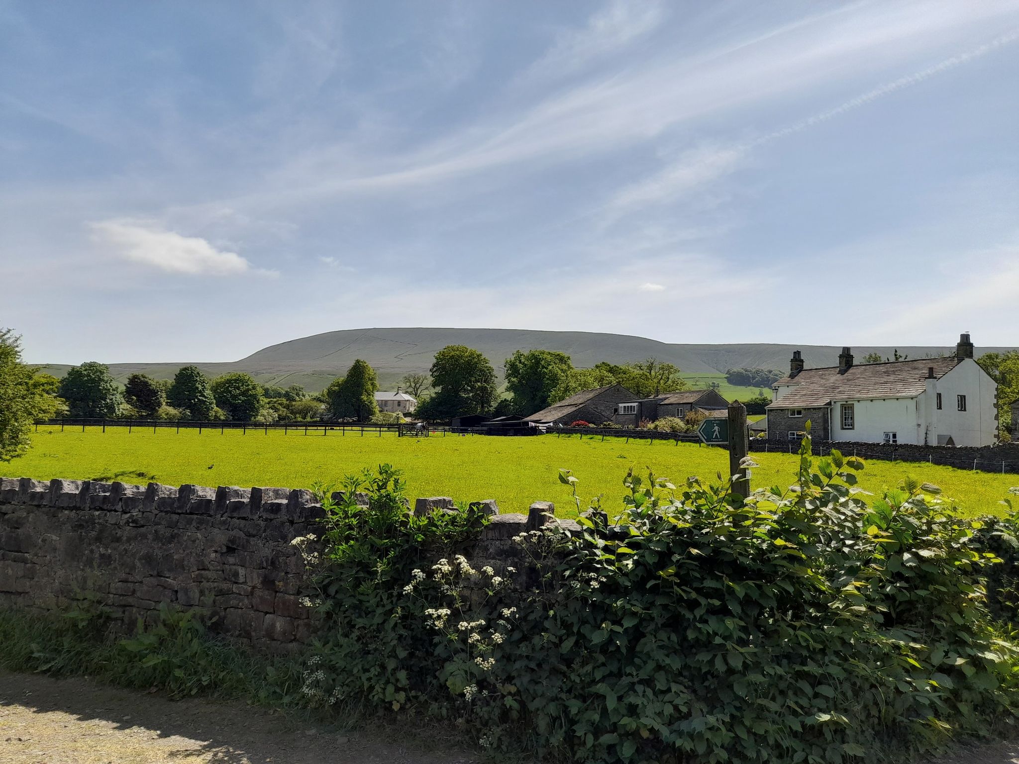 Pendle view