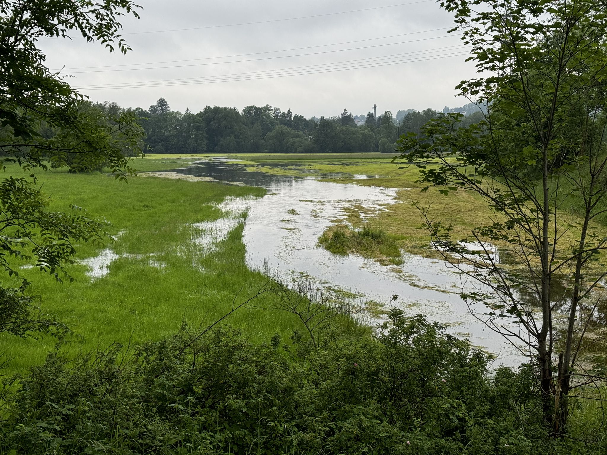 Die Regnitz mit bisserl mehr Wasser
