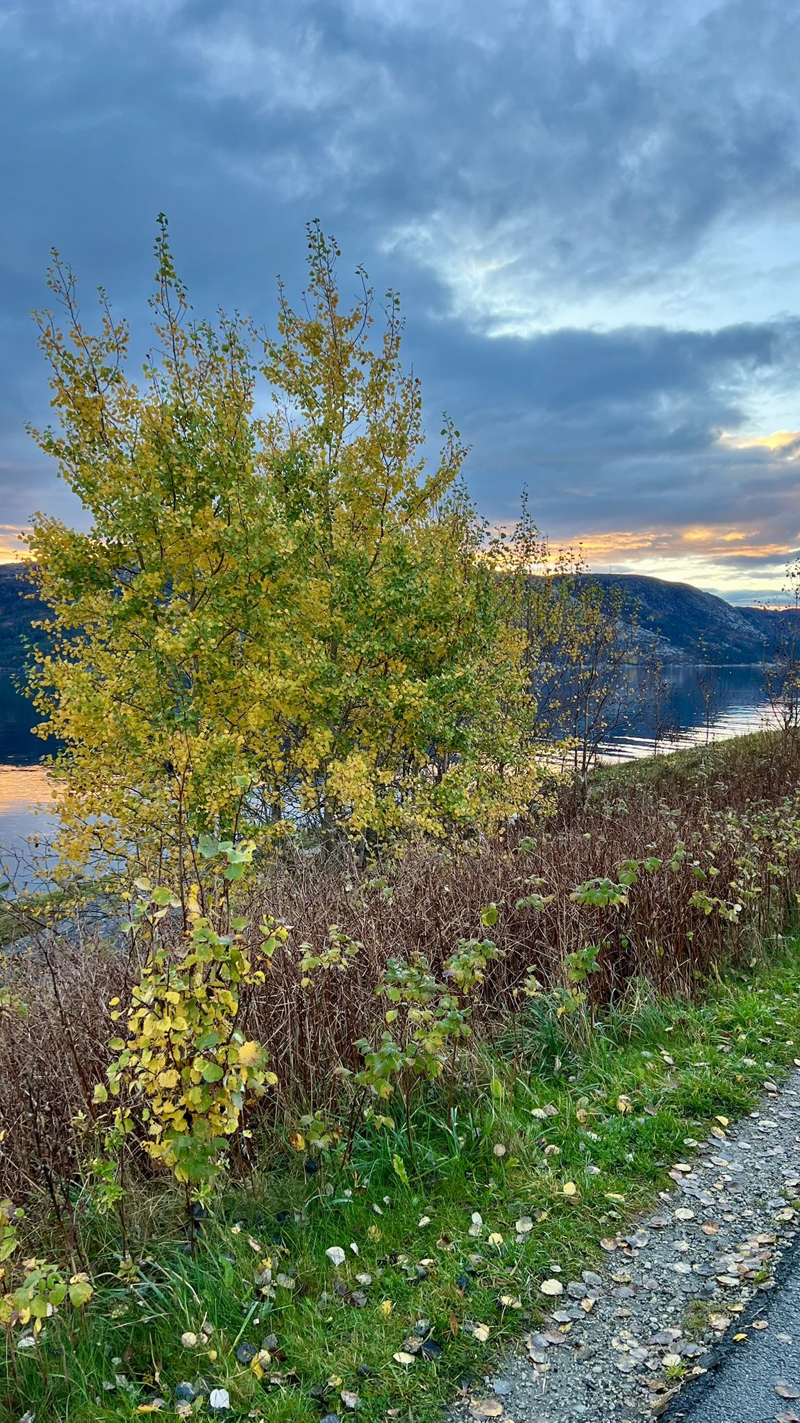 Soloppgang ved Gandsfjord