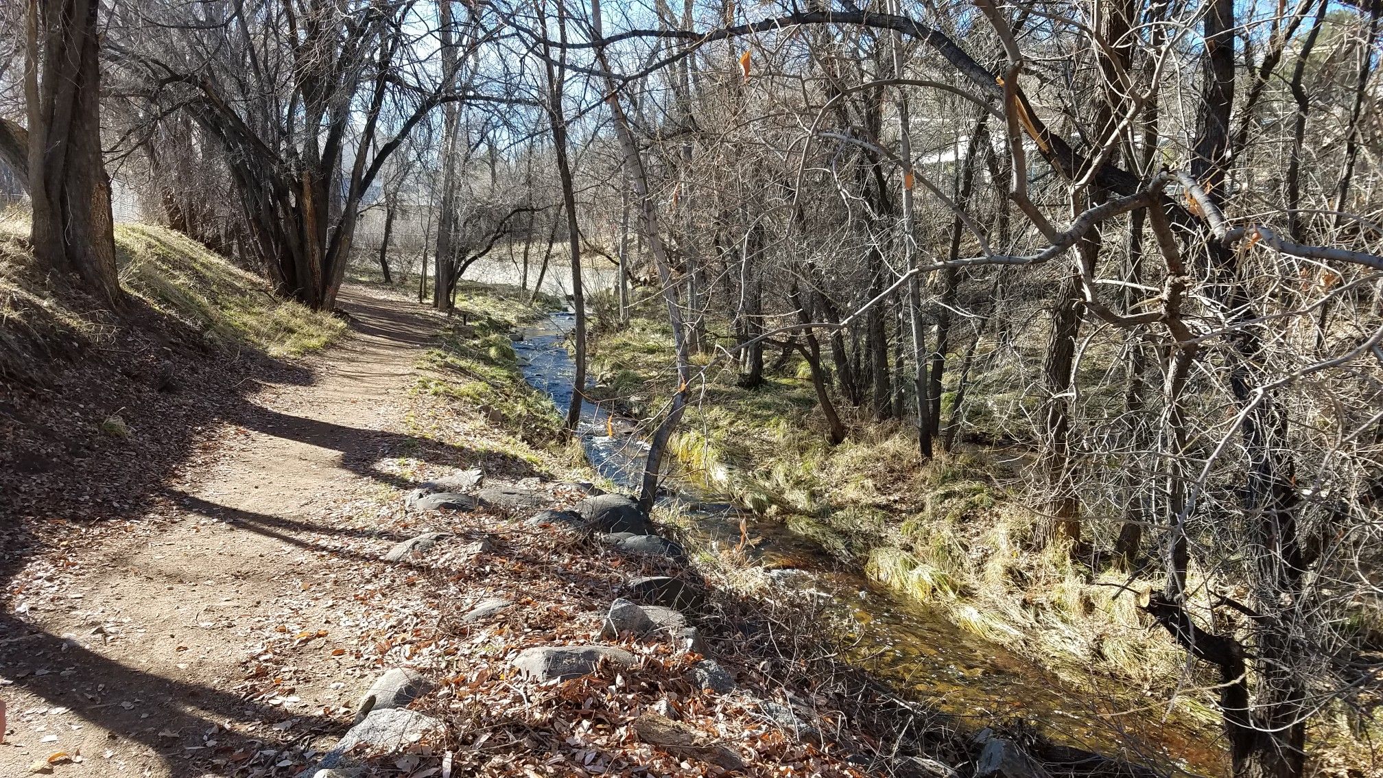 A sunny dirt path runs alongside a small stream in a wooded area. - Montezuma Promenade