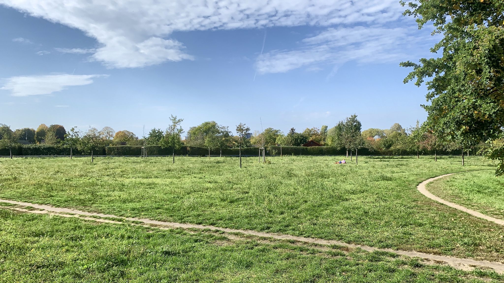 Hans-Baluschek-Park