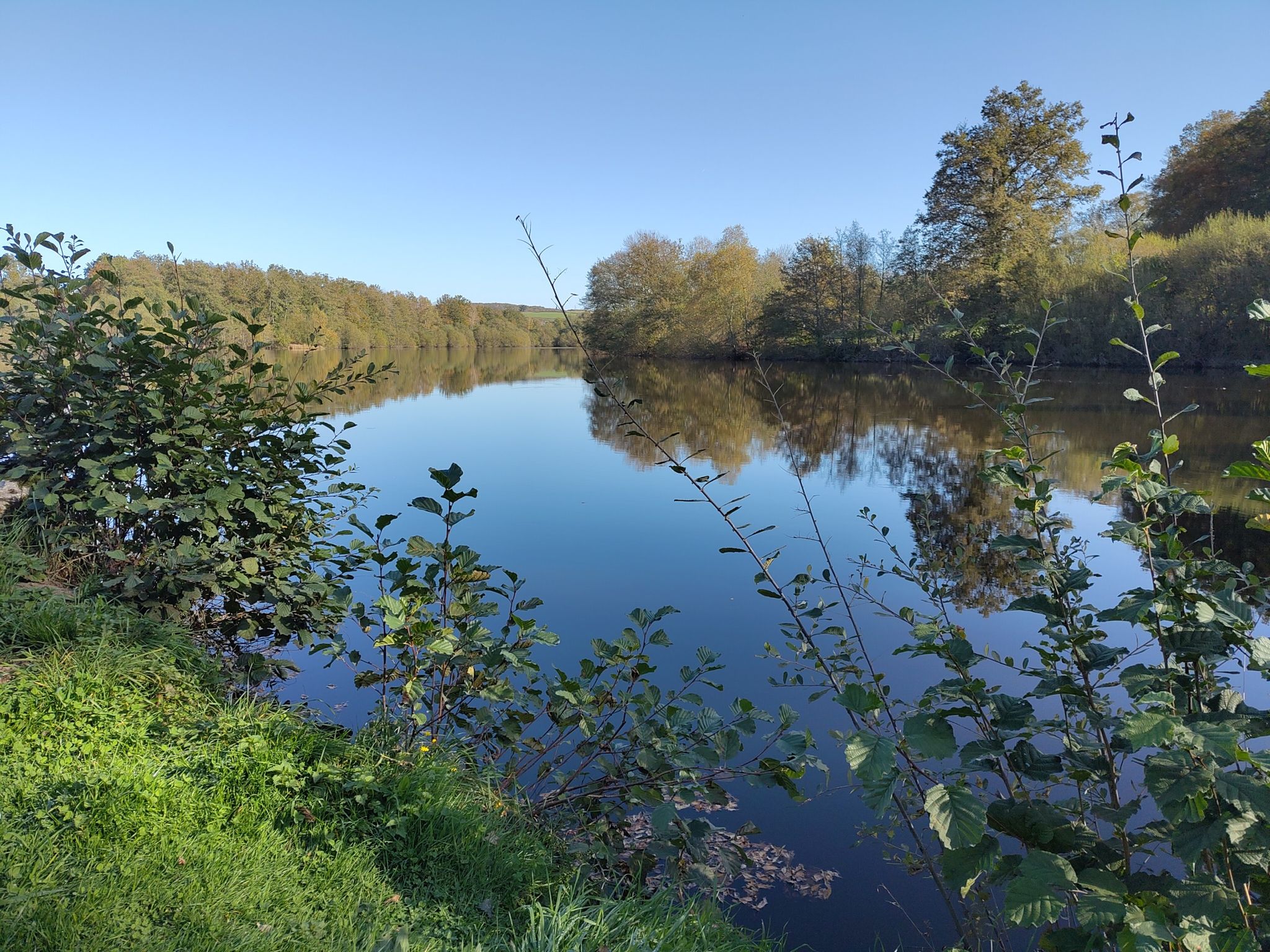 Étang du bois de la Forêt