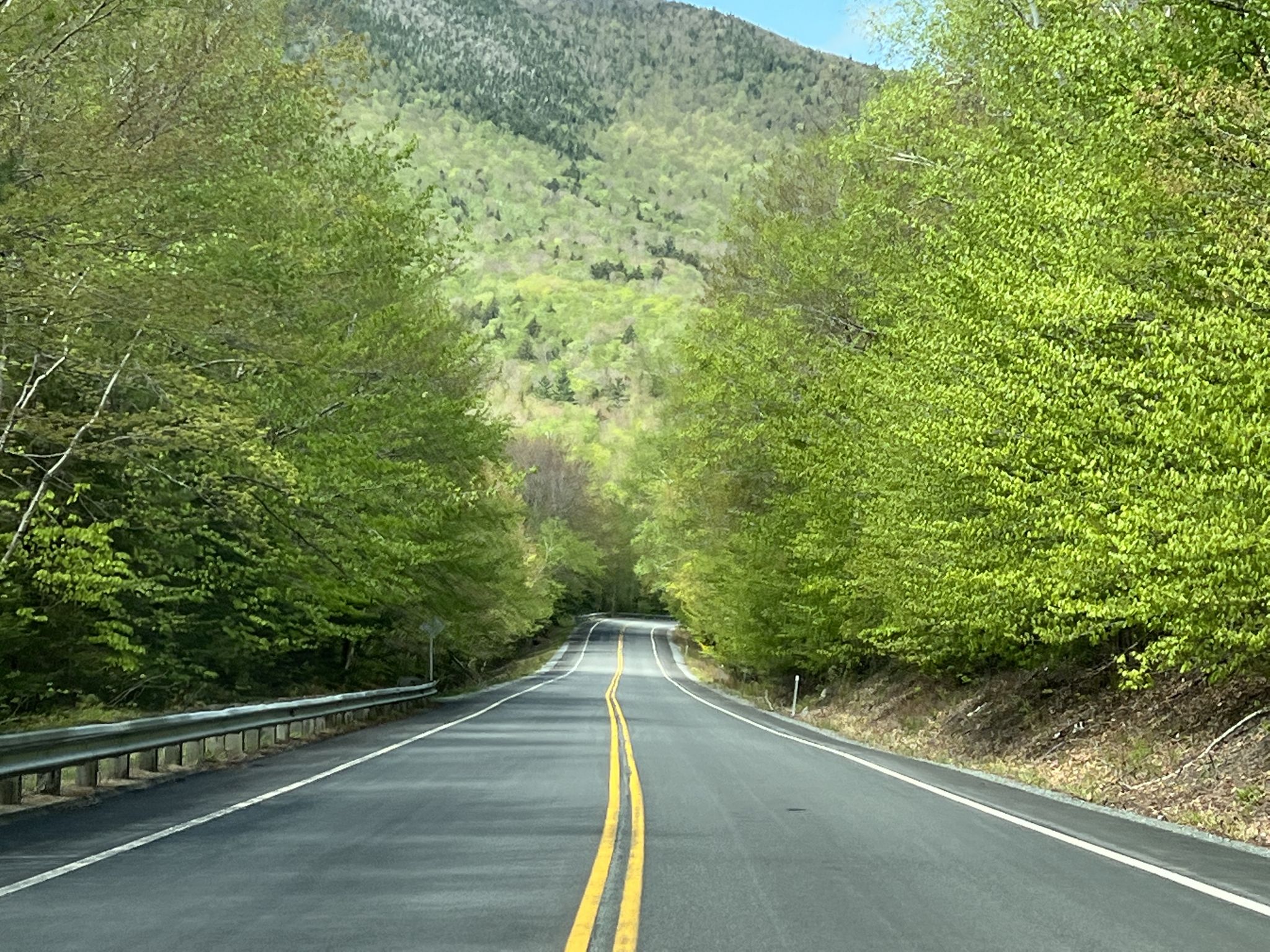 Empty paved road winding through a vibrant green forest on a sunny day. - Lincoln to Graham Wangan Overlook