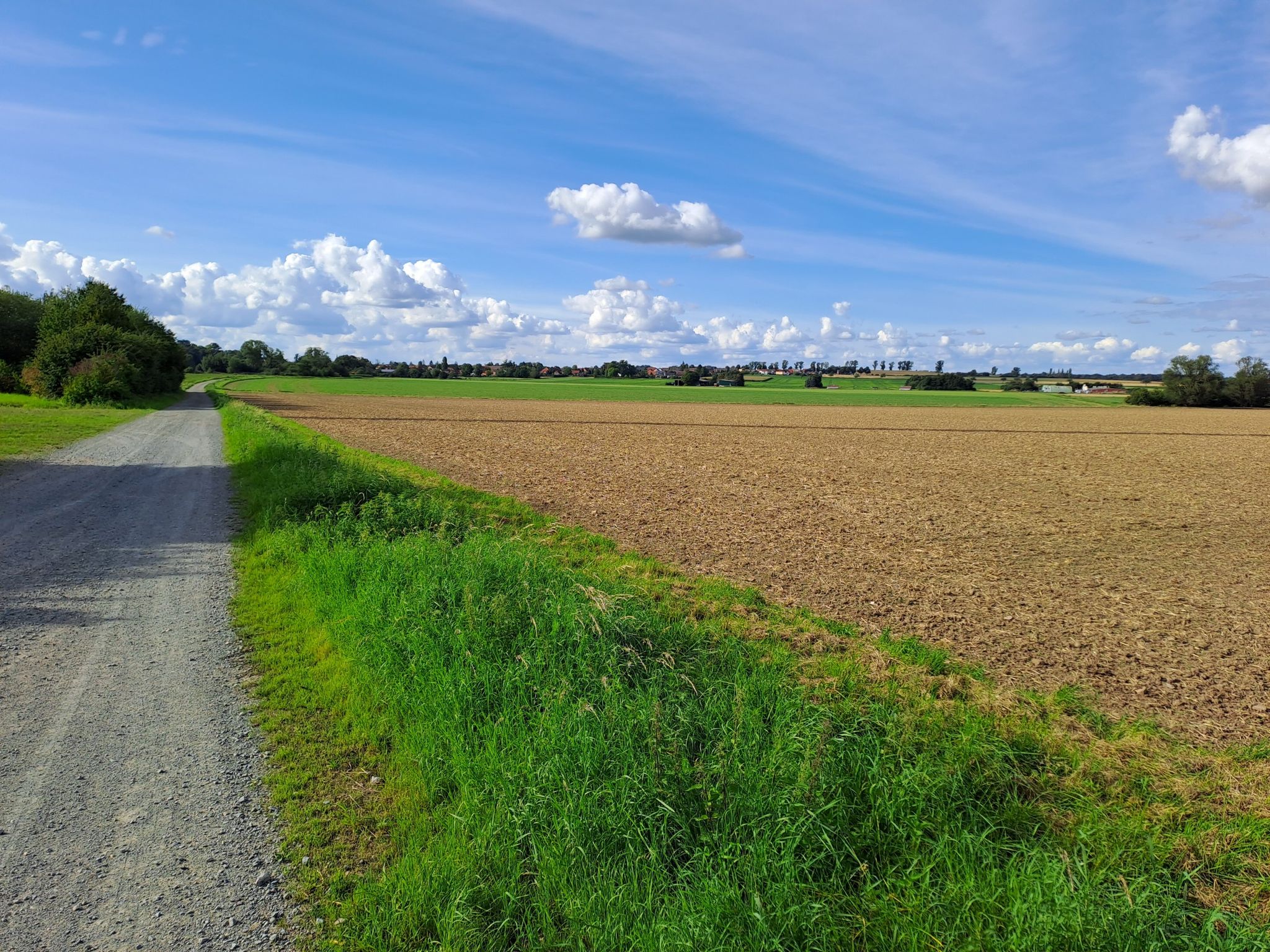 2. Hügelrücken - Kirchberg Ausläufer (B1-Oberg)