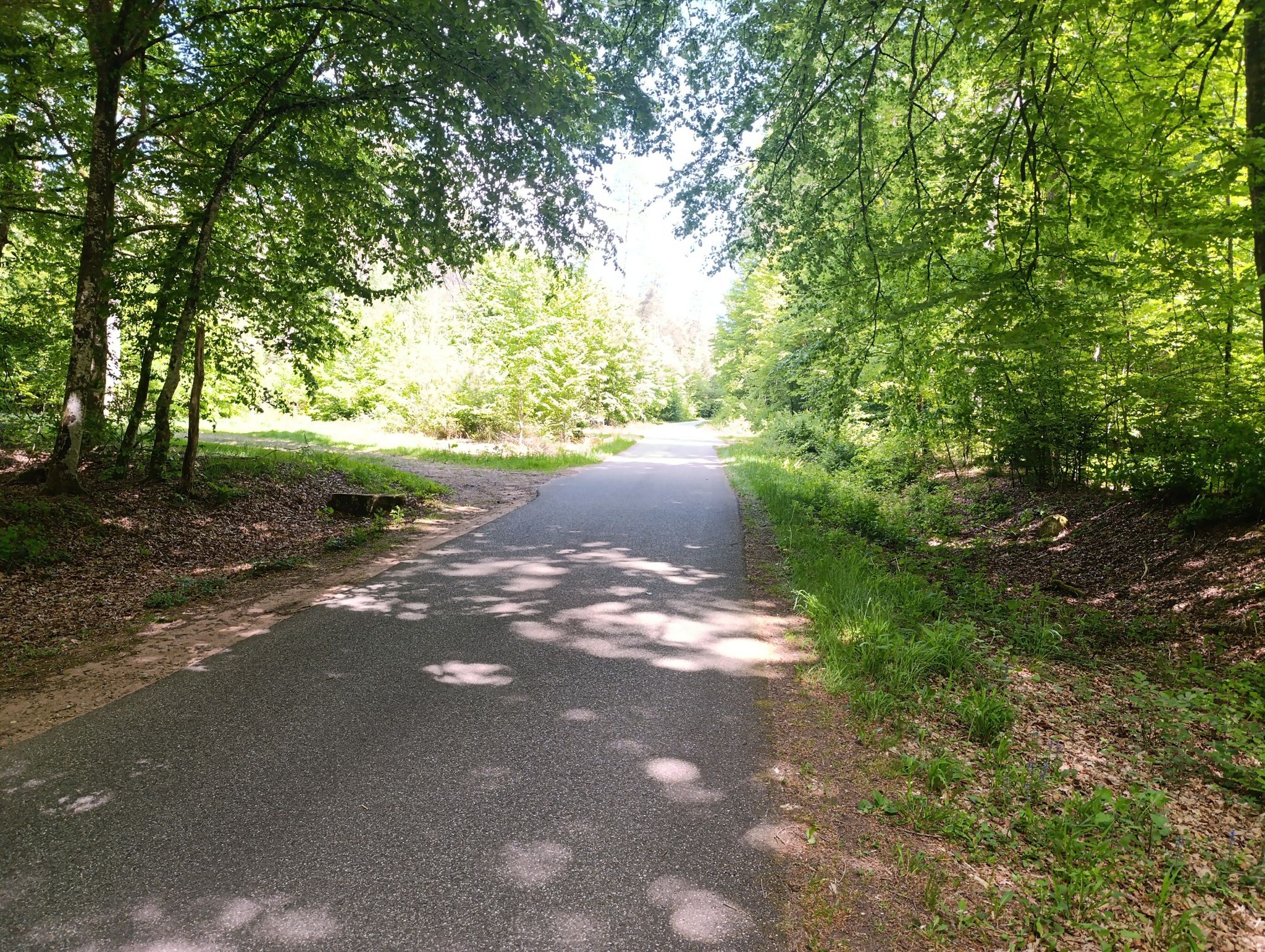 Waldweg Asphaltiert