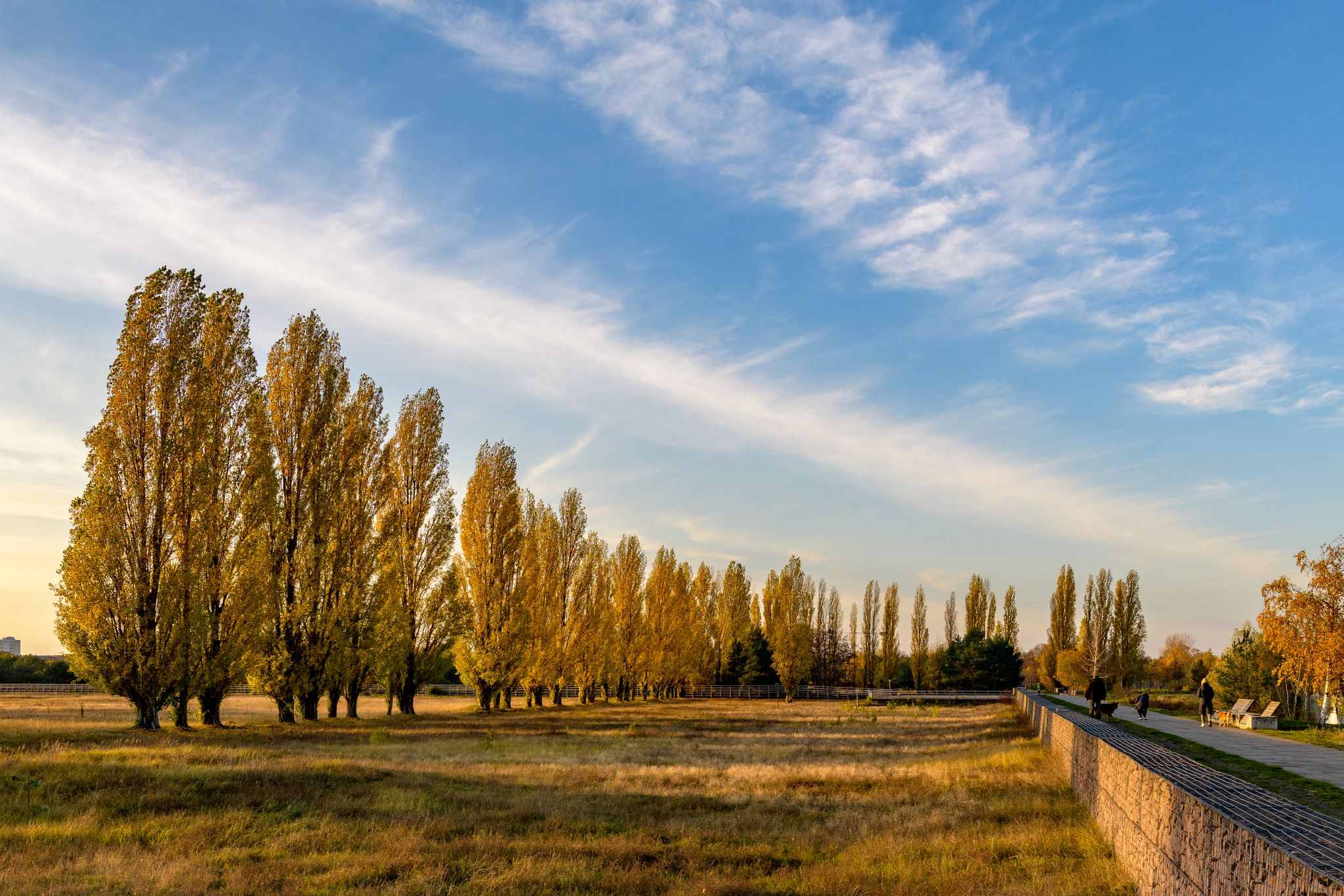 im Landschaftspark Johannisthal/Adlershof (3)