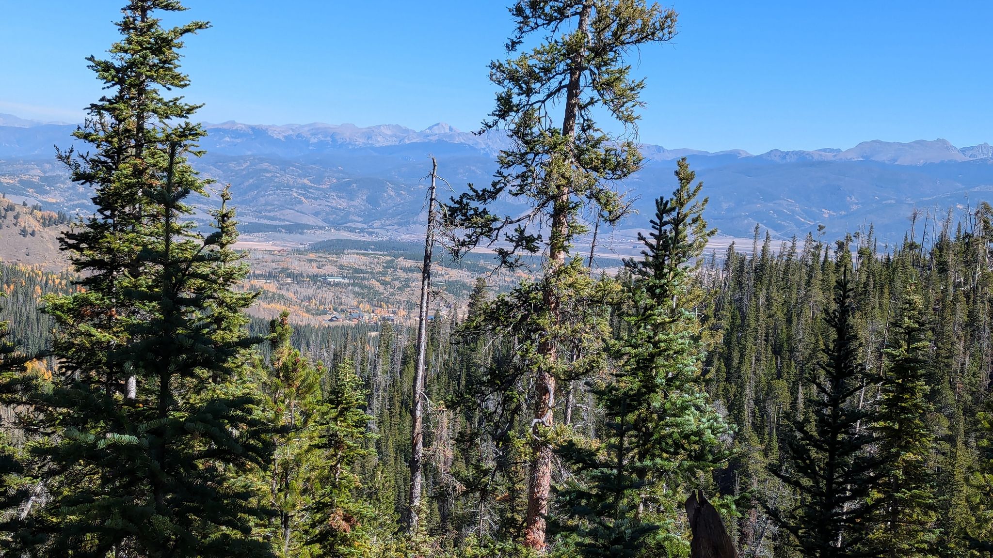 Tall pine trees frame a distant mountain range and valley under a blue sky. - Tipperary Creek Loop