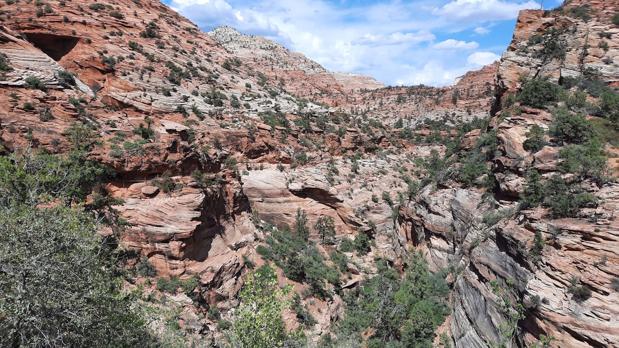 Rocky canyon landscape with layered red and white rock formations, green shrubs. - Canyon Overlook Trail