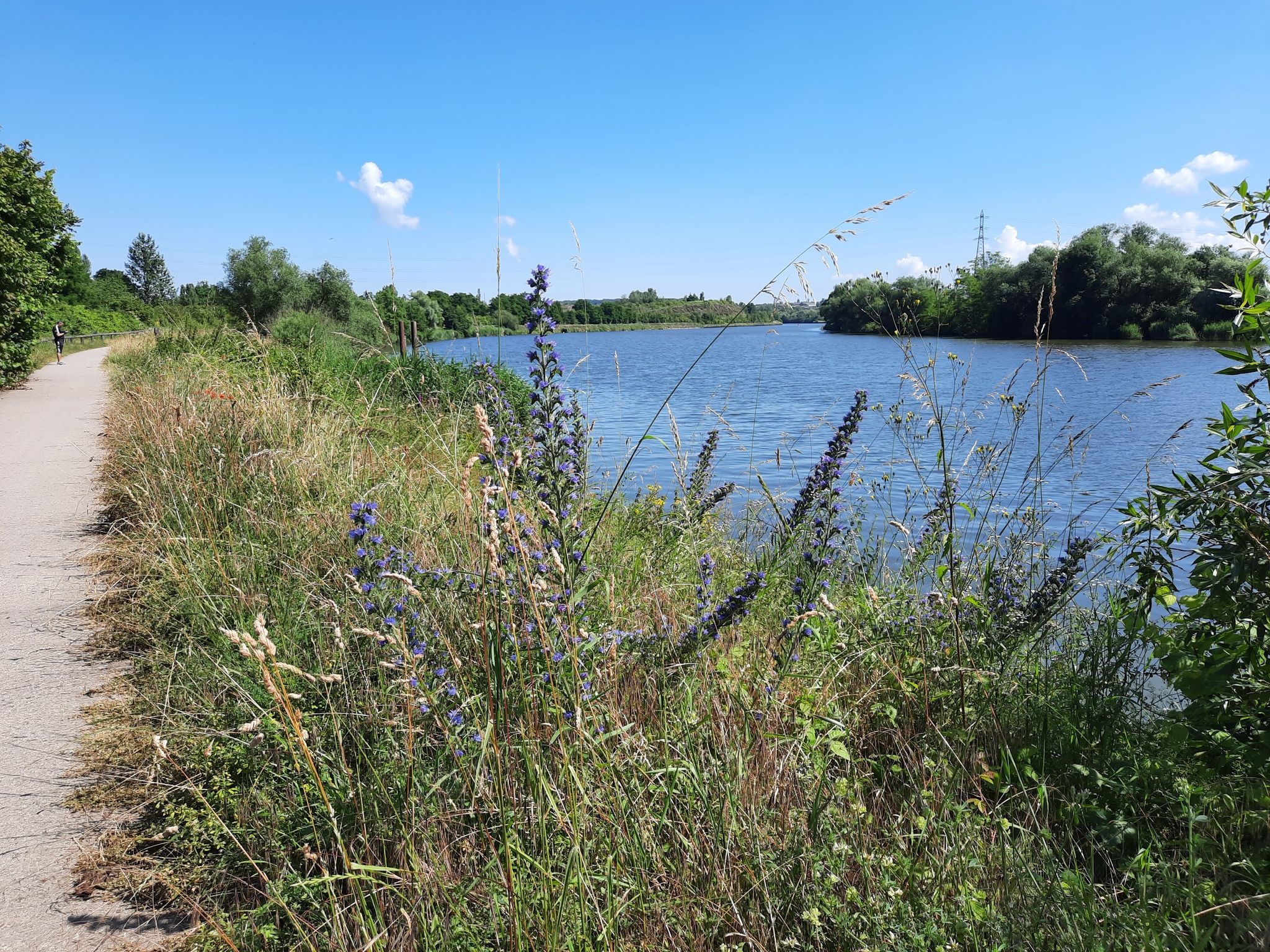 ...schöne Strecke direkt am Wasser