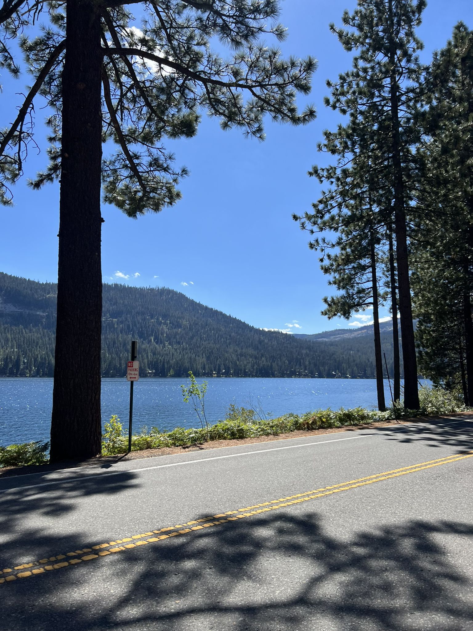 Roadside view of a large lake, green mountains, and tall pine trees. - Donner Lake – Lake View Canyon Road loop from Donner Lake
