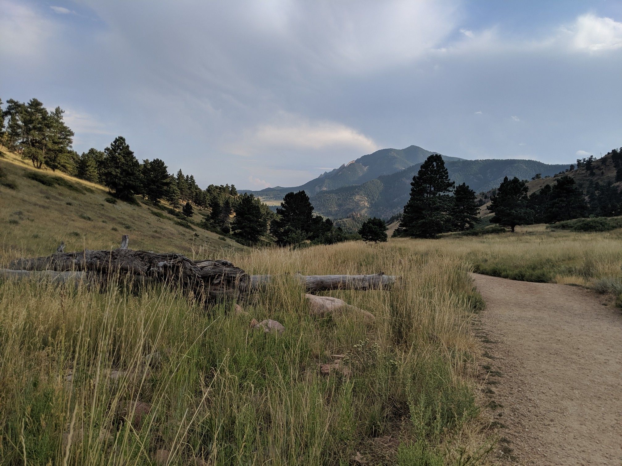 A dirt path through tall grass leads to distant mountains under a cloudy sky. - View from Goat Path Trail – Dakota Ridge Trail loop from Boulder