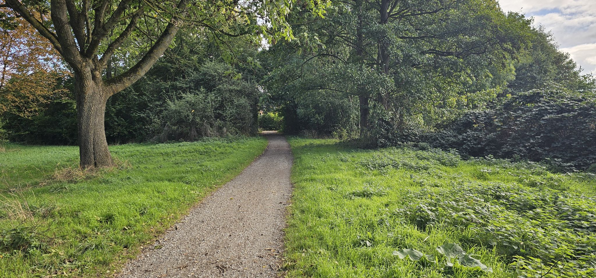 schöner Radweg 