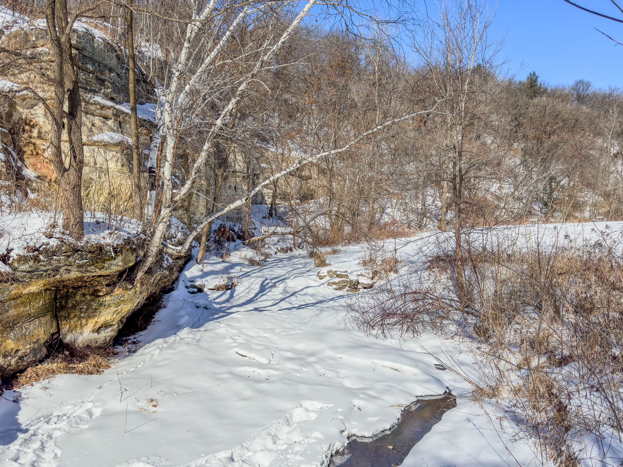 A snow-covered stream flows past rocky cliffs and bare winter trees. - Mountainbike loop from Ruth St