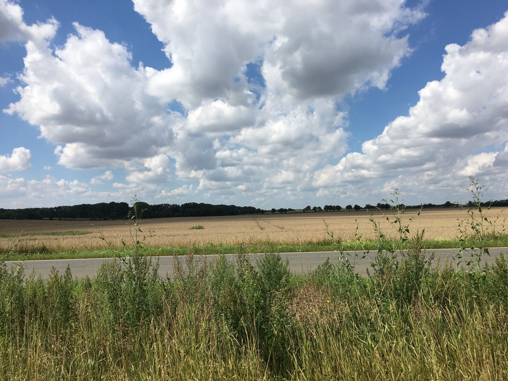 Neuer Fahrradweg