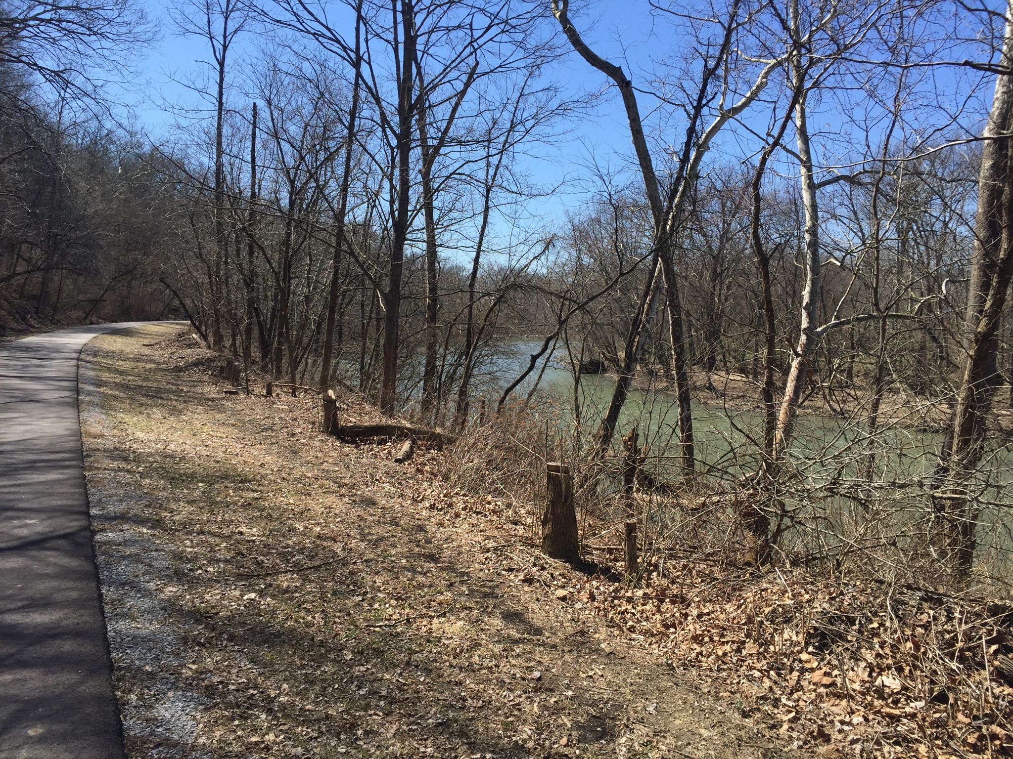 Paved path alongside a river with bare trees and dry leaves. - Little Miami Scenic Trail – Signal of Little Miami River Railroad loop from Foster