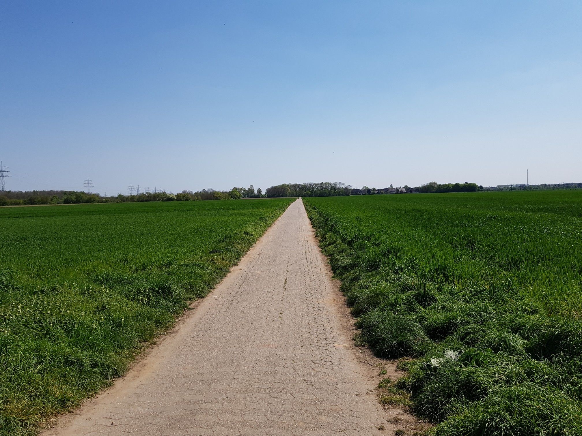 Feldweg von Derikum nach Elvekum