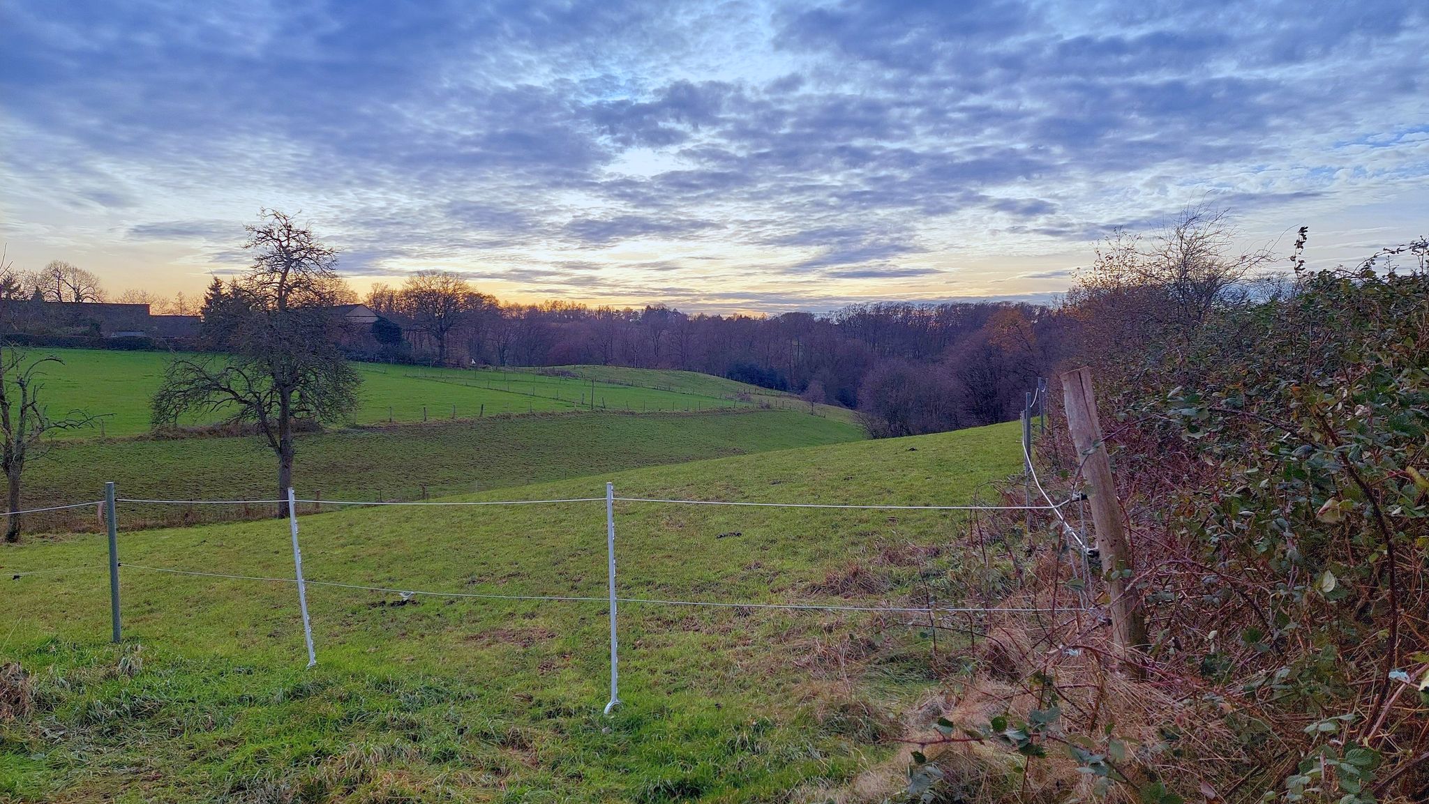 In sanfthügeliger Landschaft laufen wir an "Am Strötgen" weiter südwestlich.