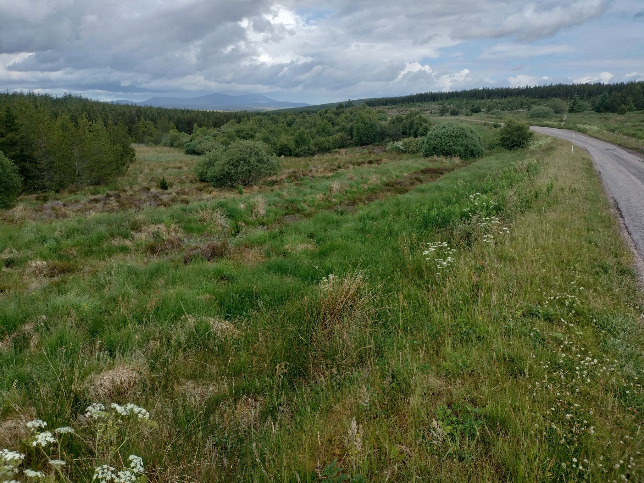 looking north on a single lane road with passing bays