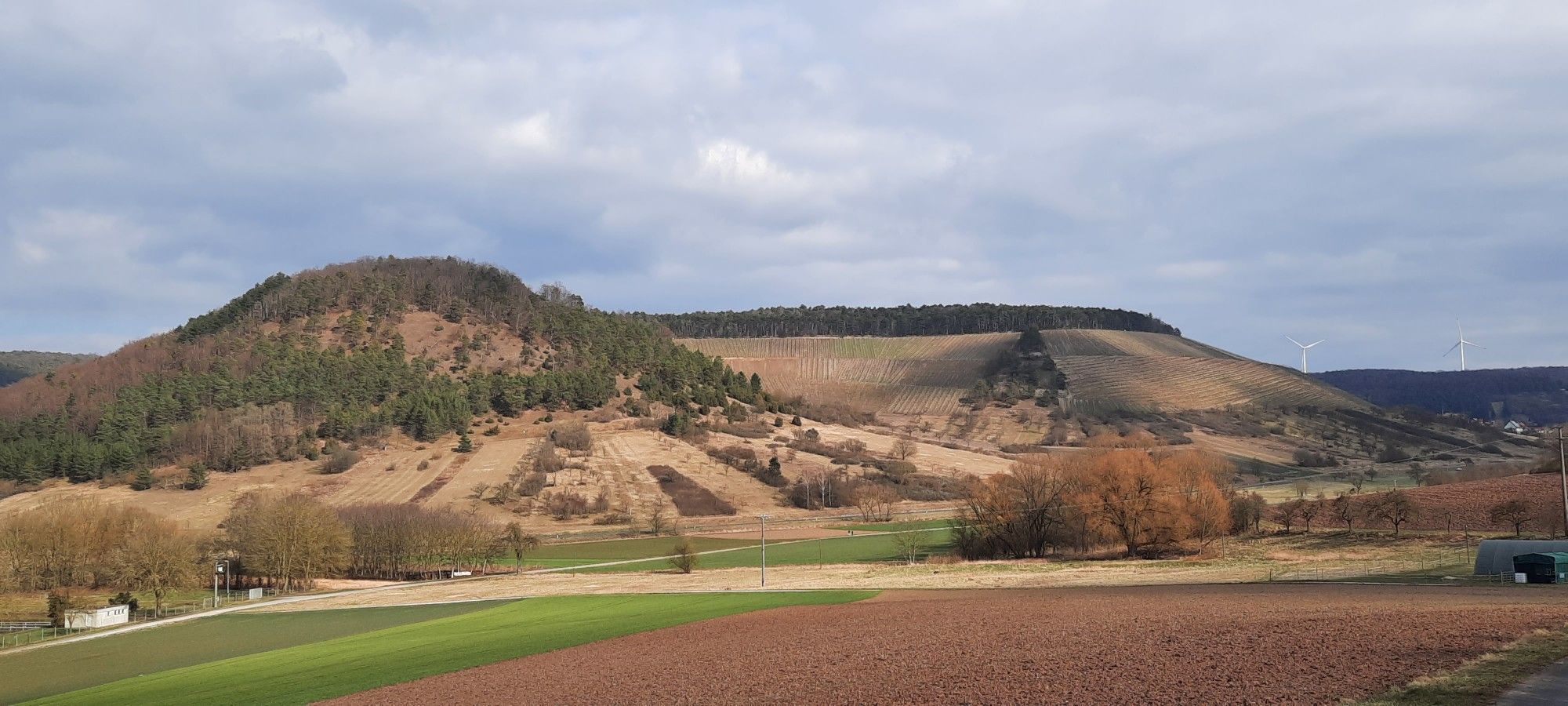 Weinberge bei Ramsthal