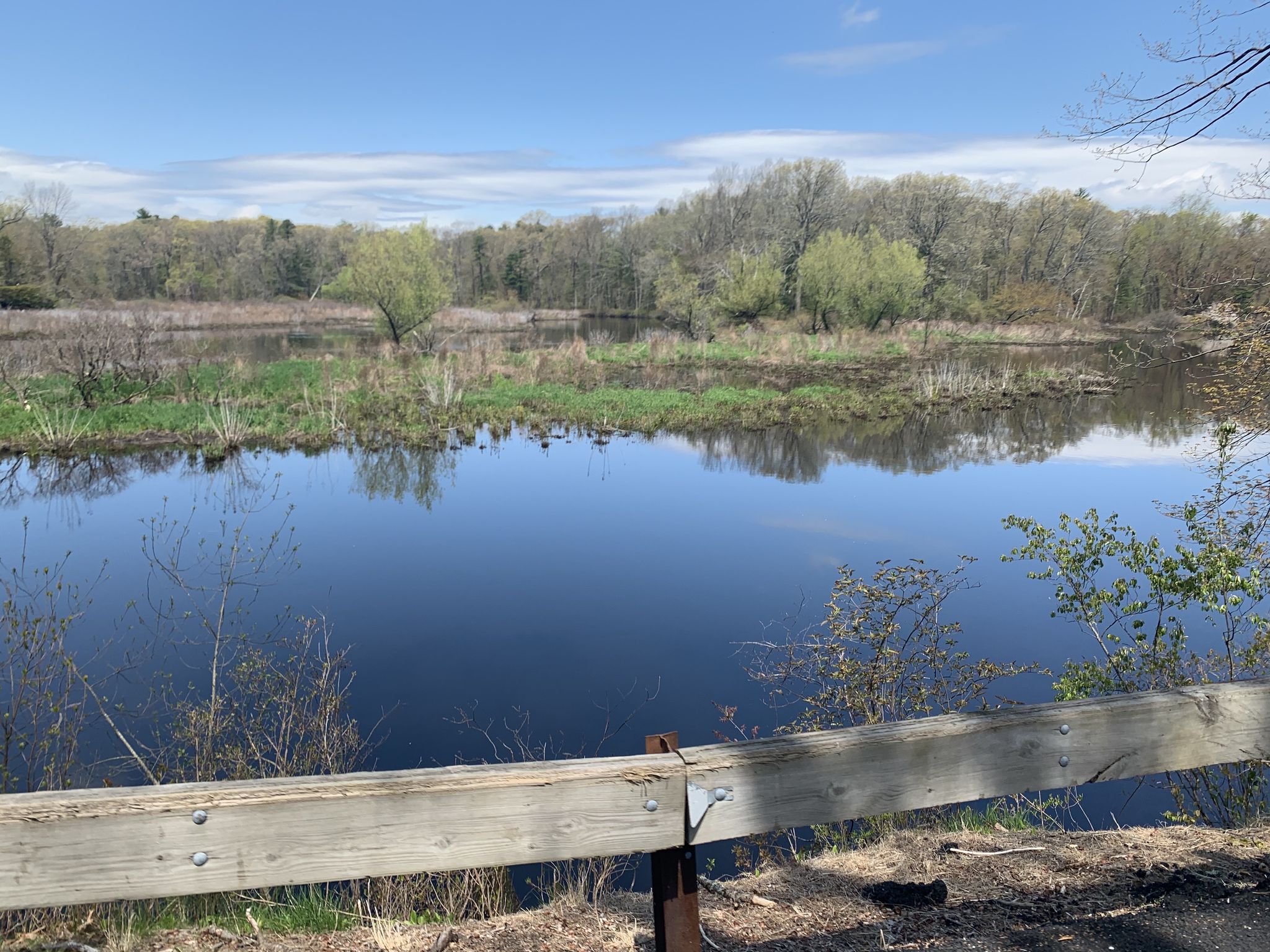 Calm pond with green foliage, distant trees, and a wooden fence. - Claybrook Road from Reservoir loop via Charles River & South Street