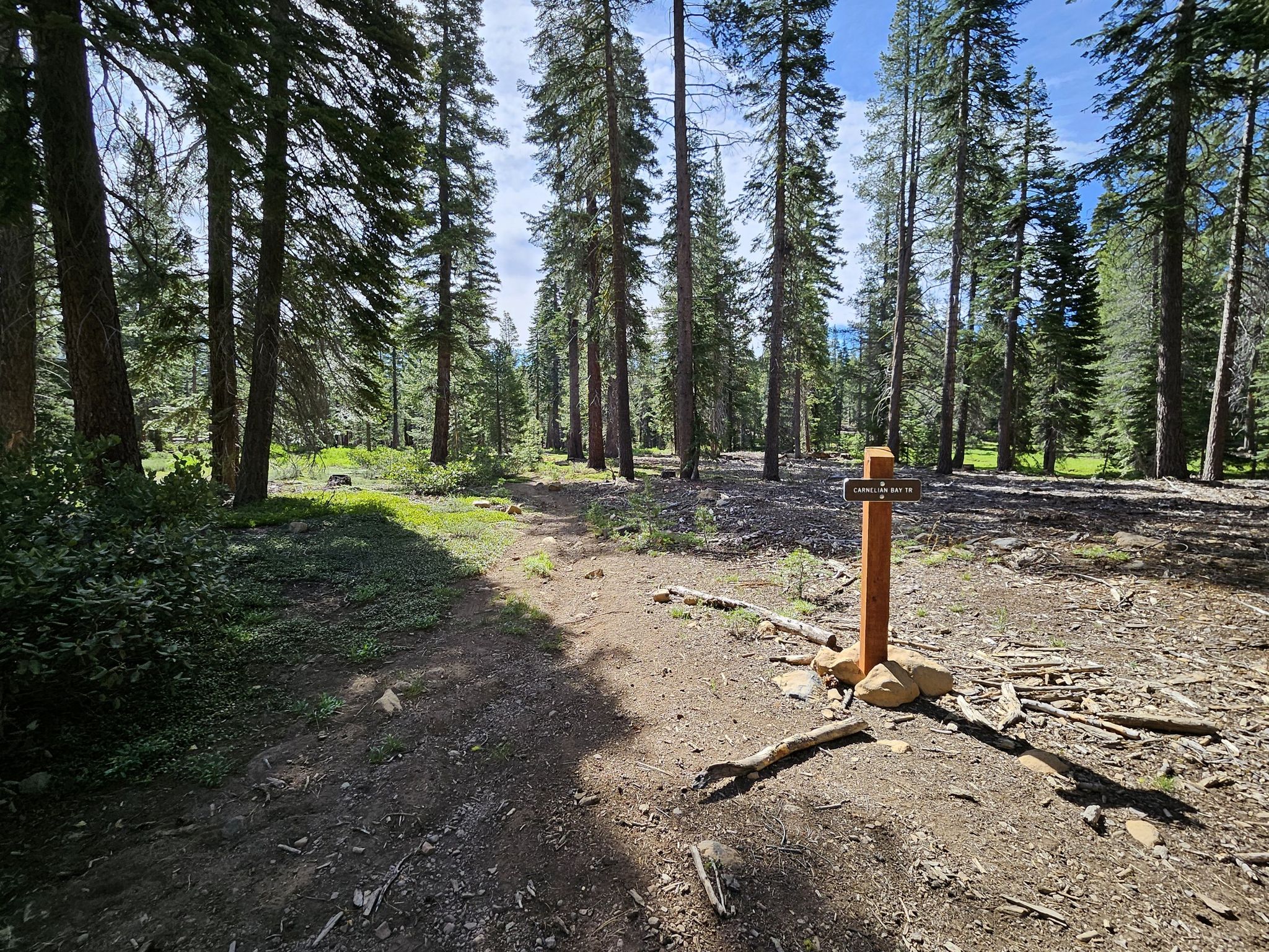 A dirt path leads into a forest, with a wooden trail marker on the right. - Watson Lake and Tahoe Rim Trail Loop