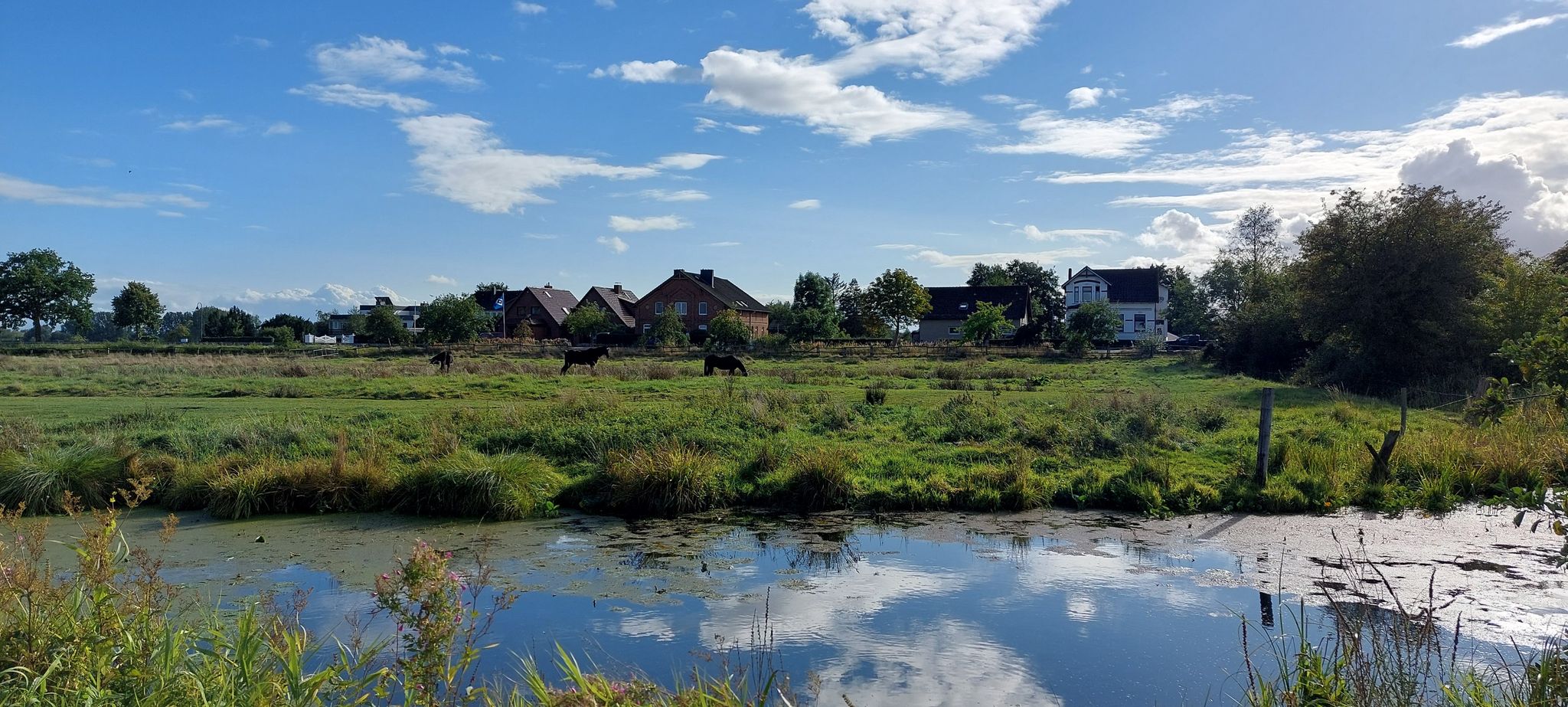 Boberger Niederungen