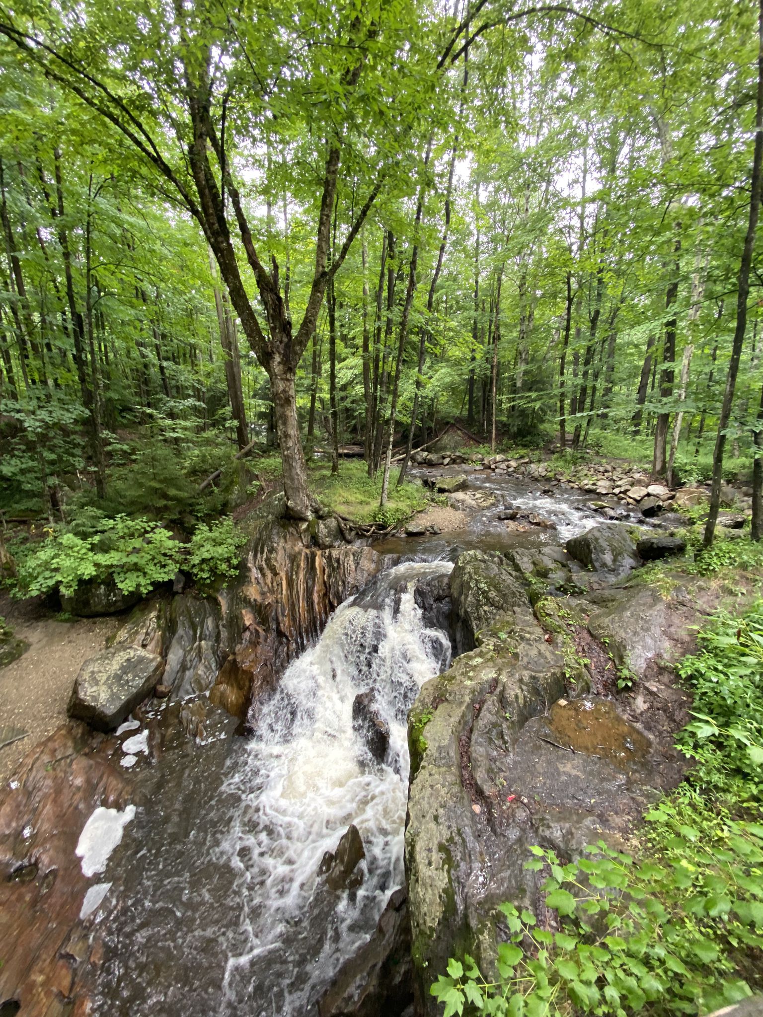 Rushing waterfall cascades through a rocky, lush green forest. - South Kent Pond via Appalachian Trail