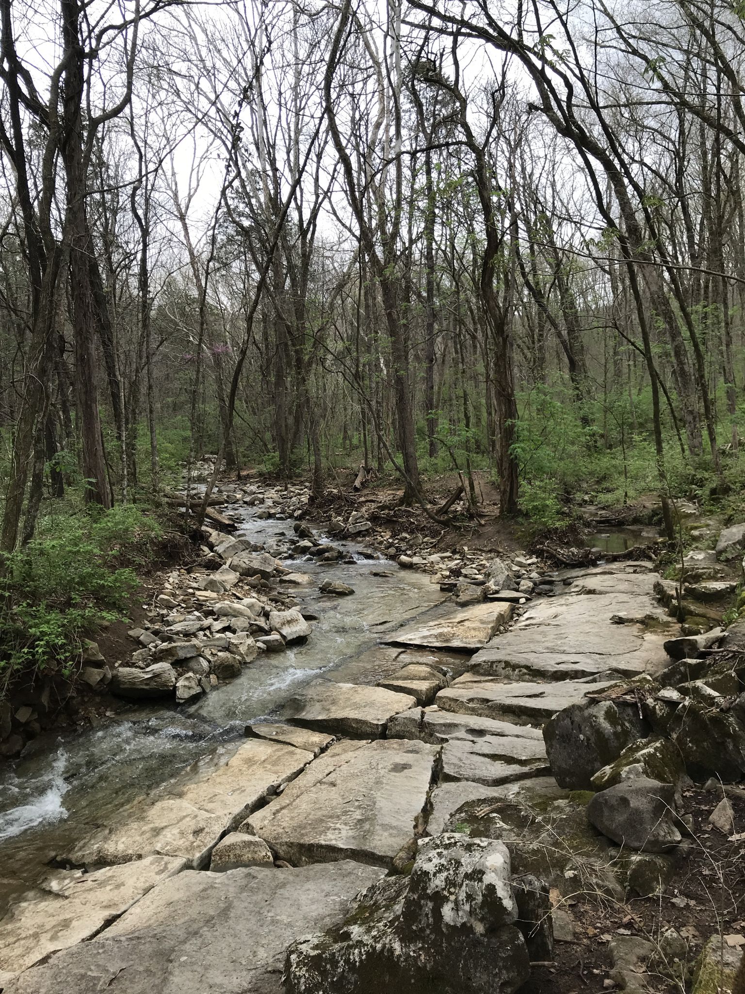 Rocky stream flowing through a bare forest under an overcast sky. - Three Caves via Alms House Trail
