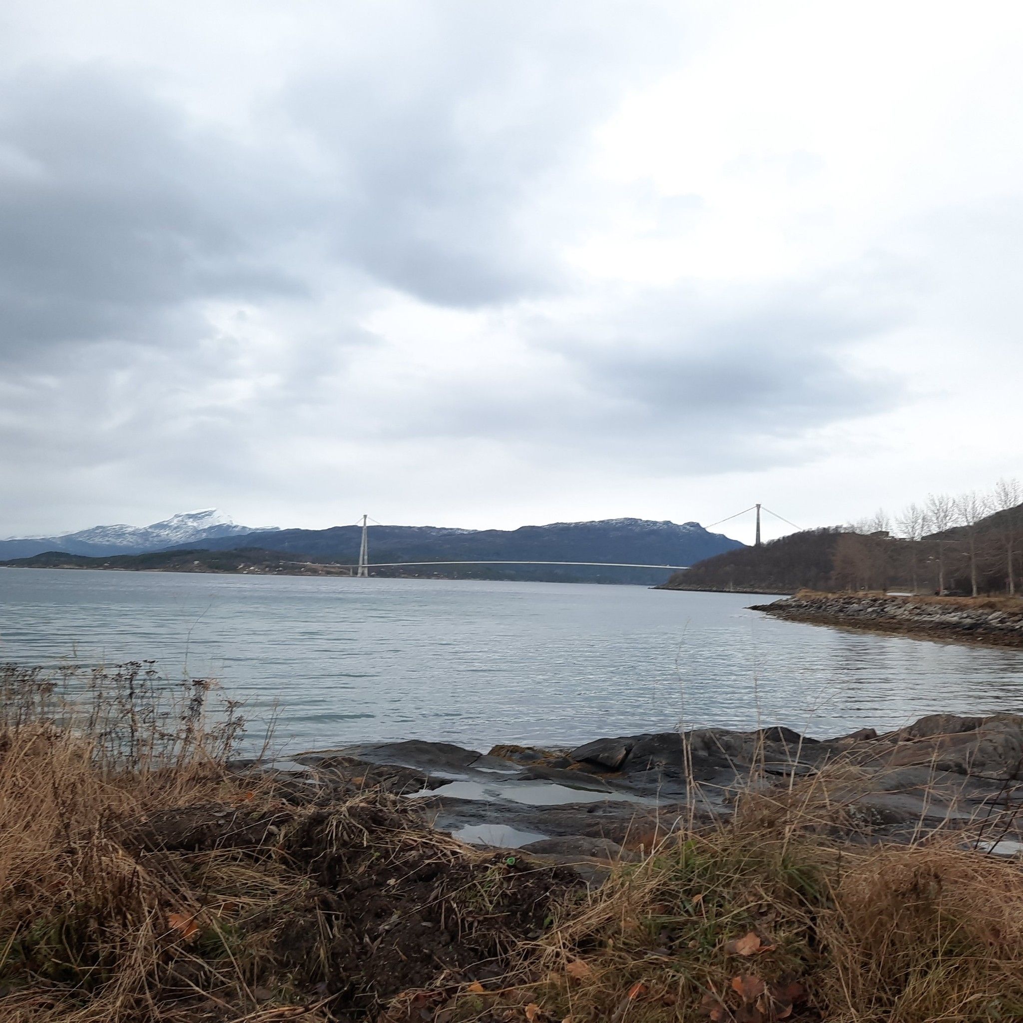 Blick nochmal auf die Brücke