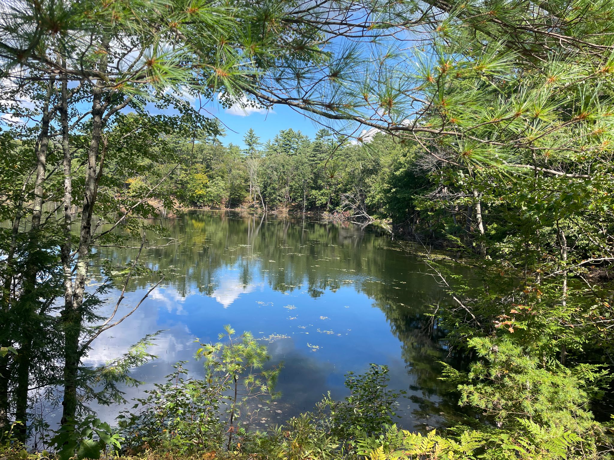 A calm lake reflecting blue sky and clouds, surrounded by green trees. - Northern Rail Trail: Highland Lake to Potter Place