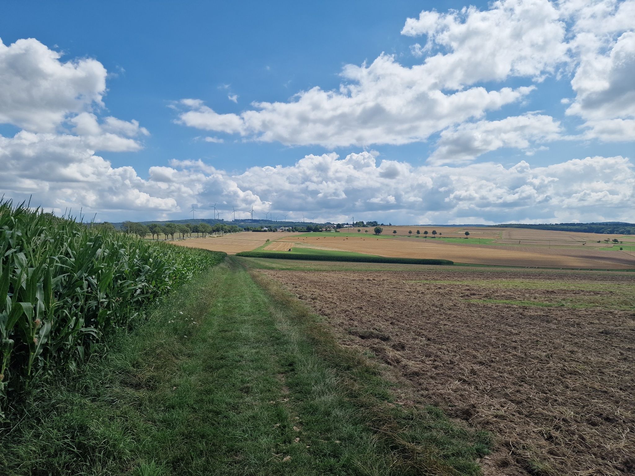 schöner Feldweg nach Holzhausen