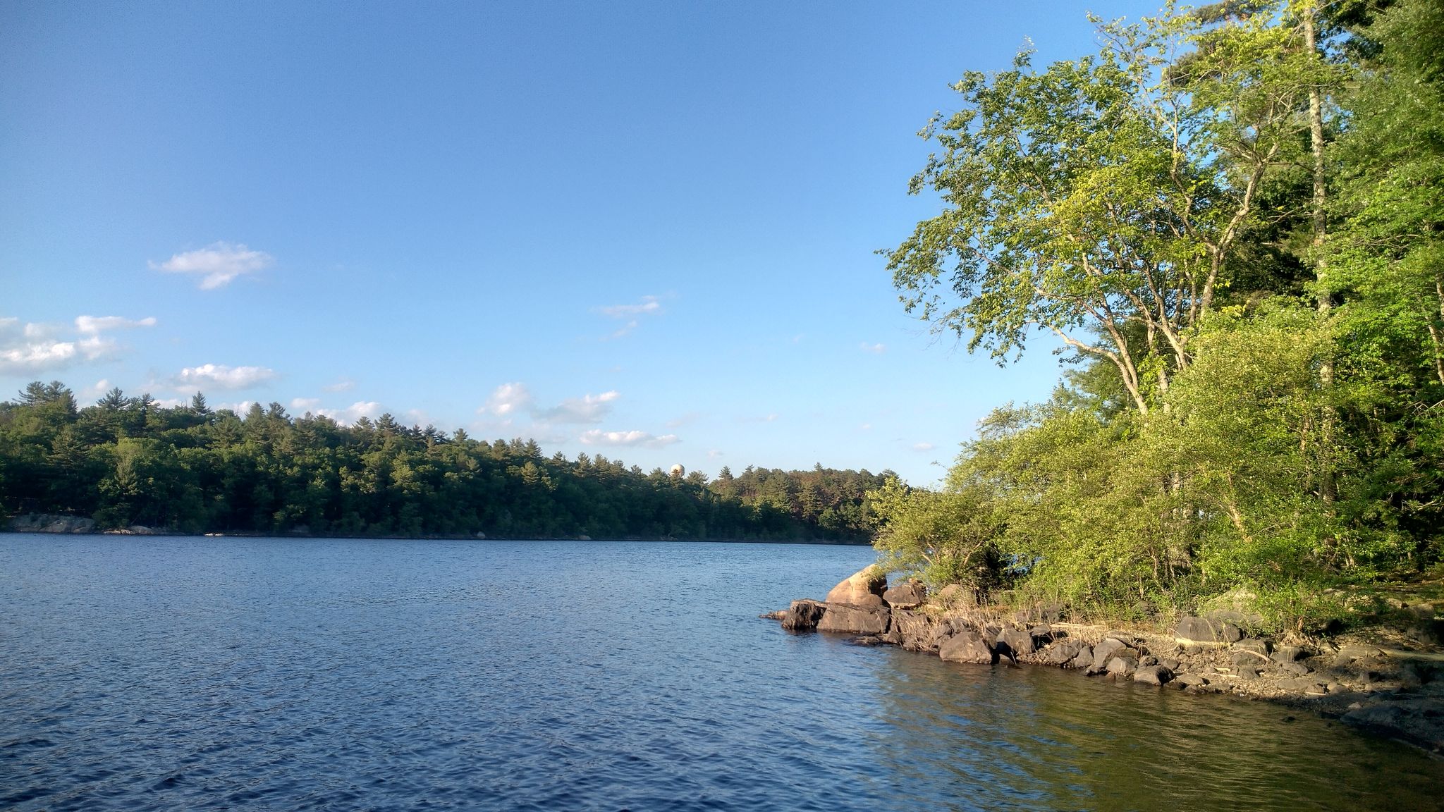 Sunny view of a calm lake with lush green trees along the shore. - Walden Pond – Ox Pasture Road loop from Lynn Woods Reservation
