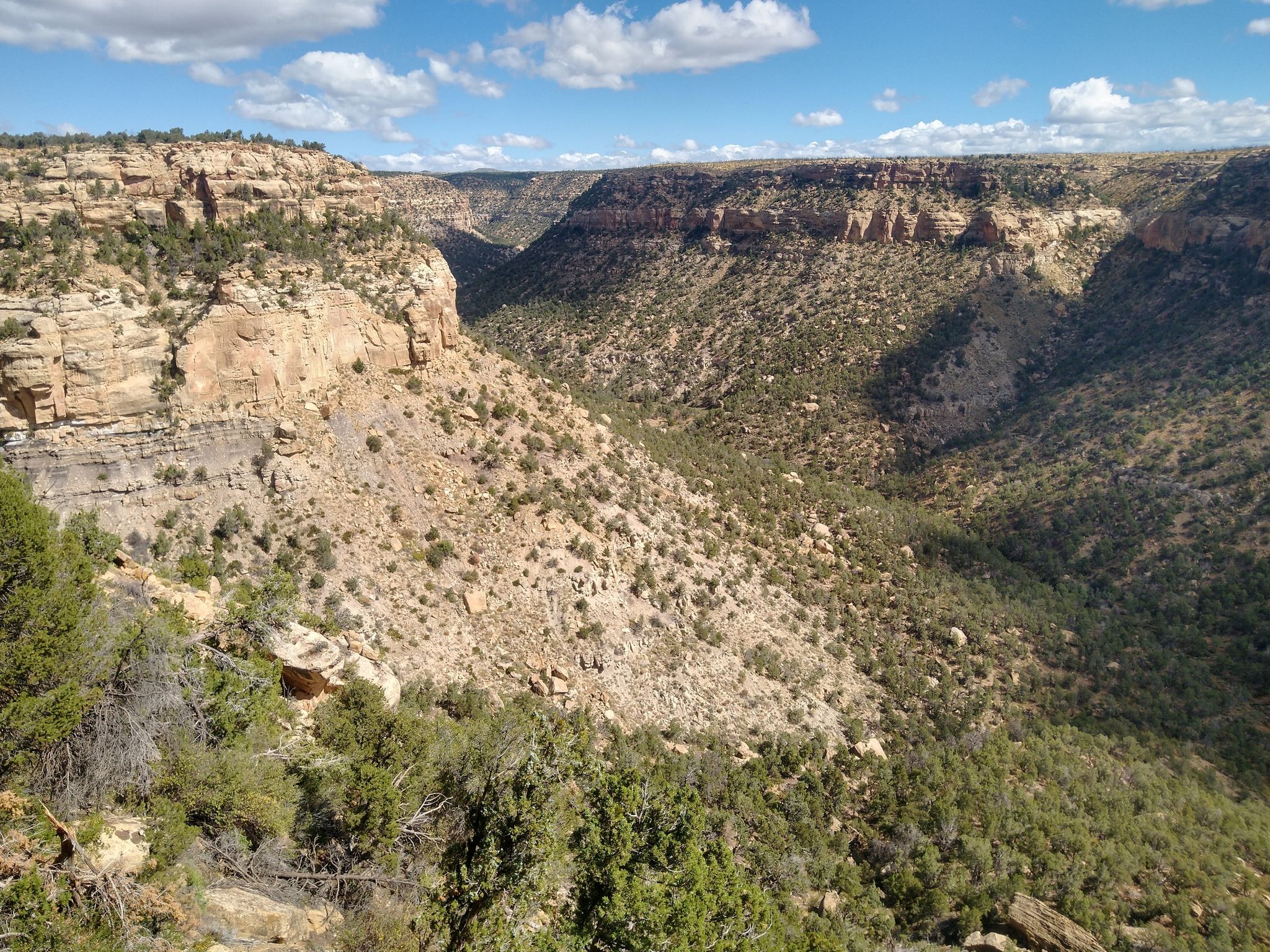 Wide canyon landscape with rocky slopes, scattered green trees, bright day. - Balcony House Trail