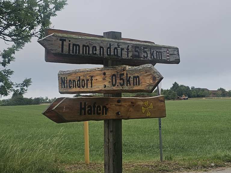 Insel Pöhl | Mountainbike-Tour | Komoot