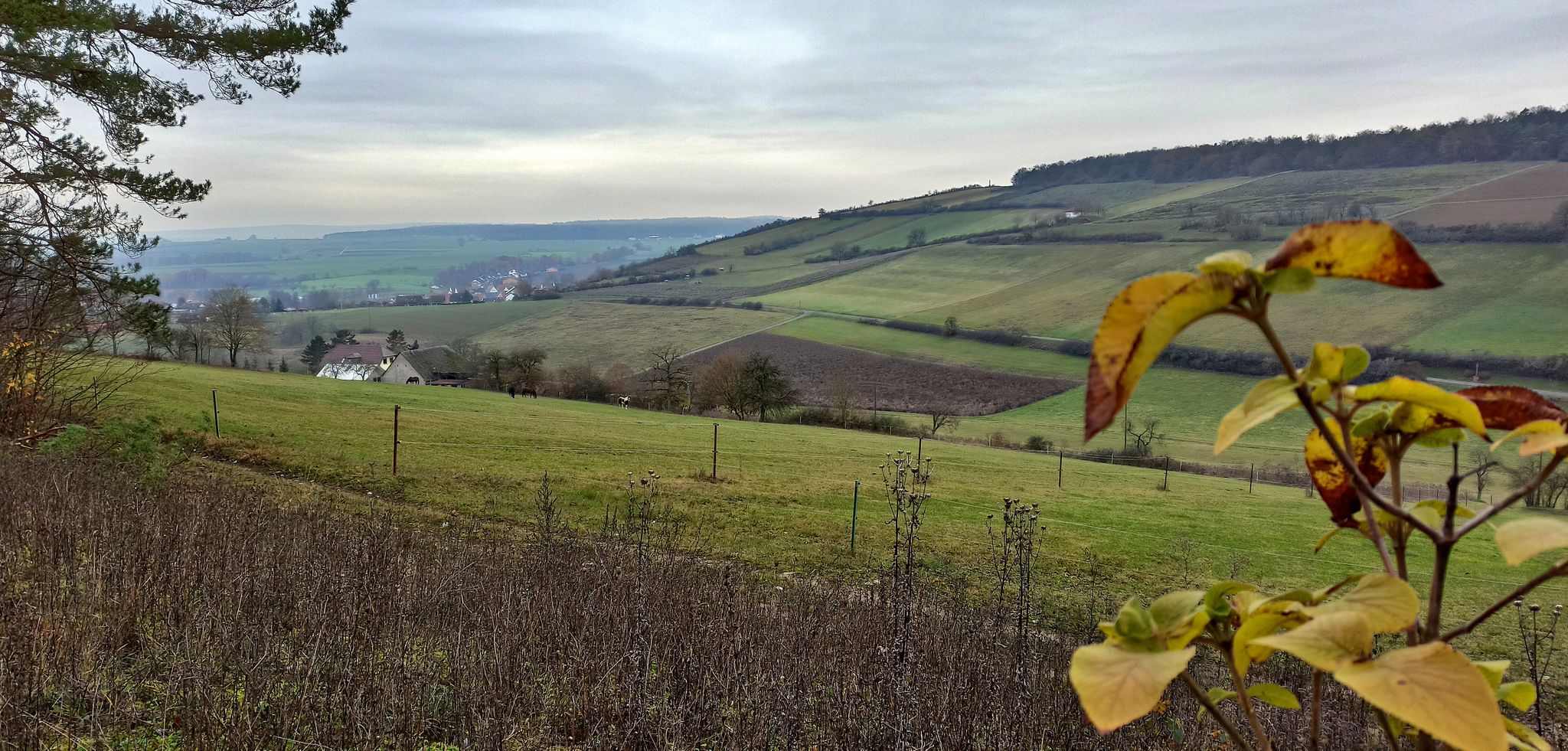 Schmalwiesgrund