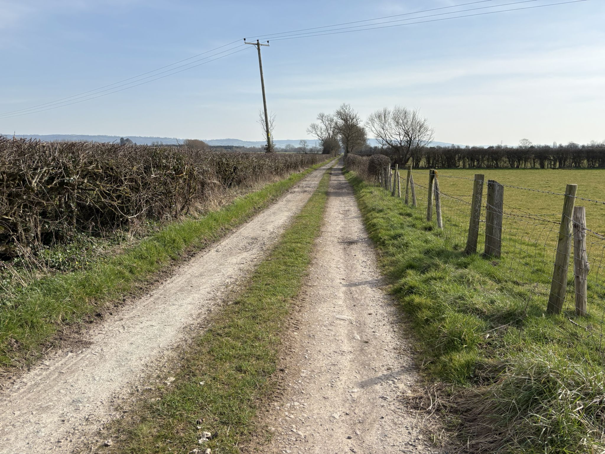 Corn Ham track