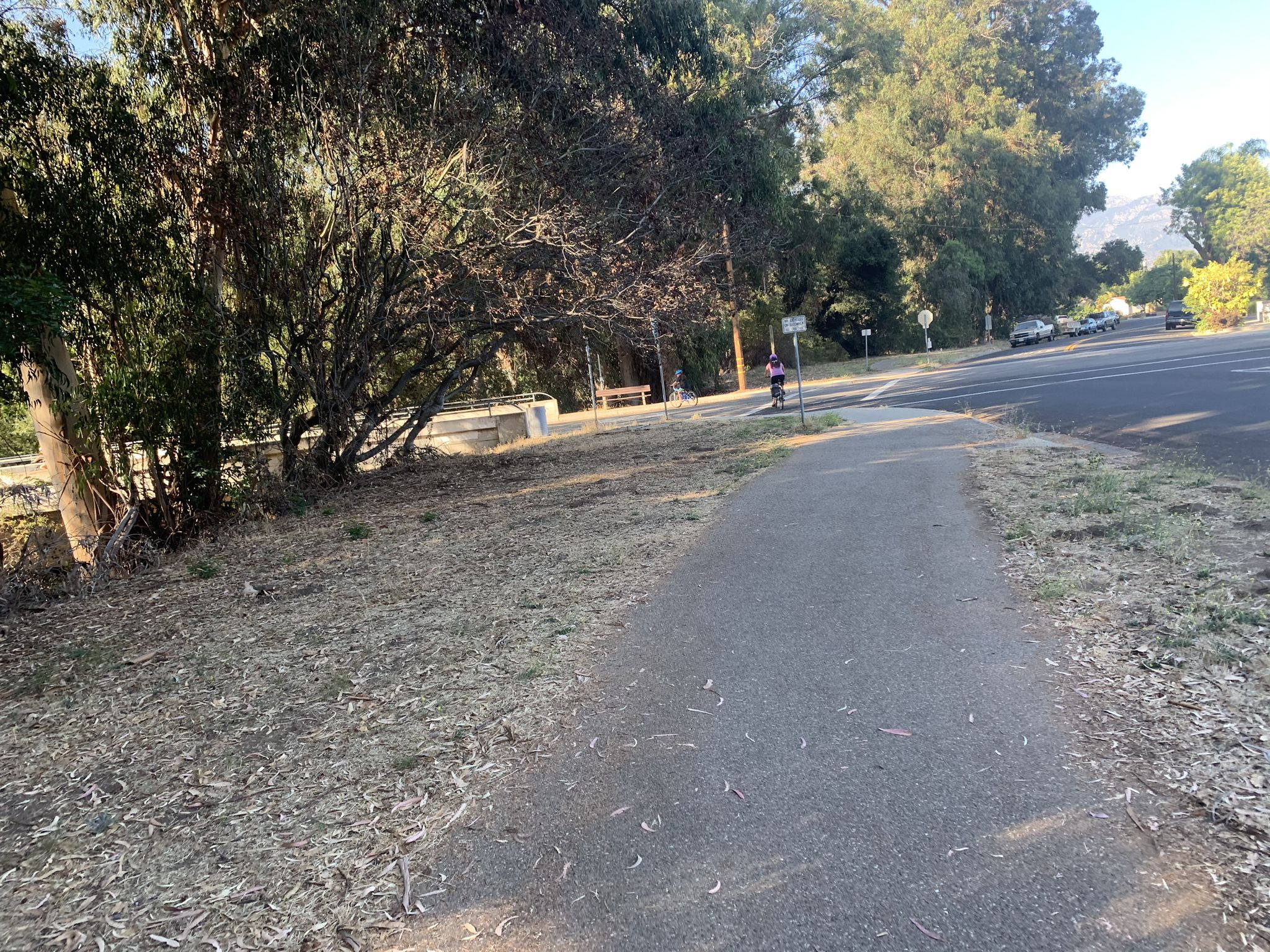 Paved path alongside a road with trees and a distant cyclist. - Santa Barbara Loop