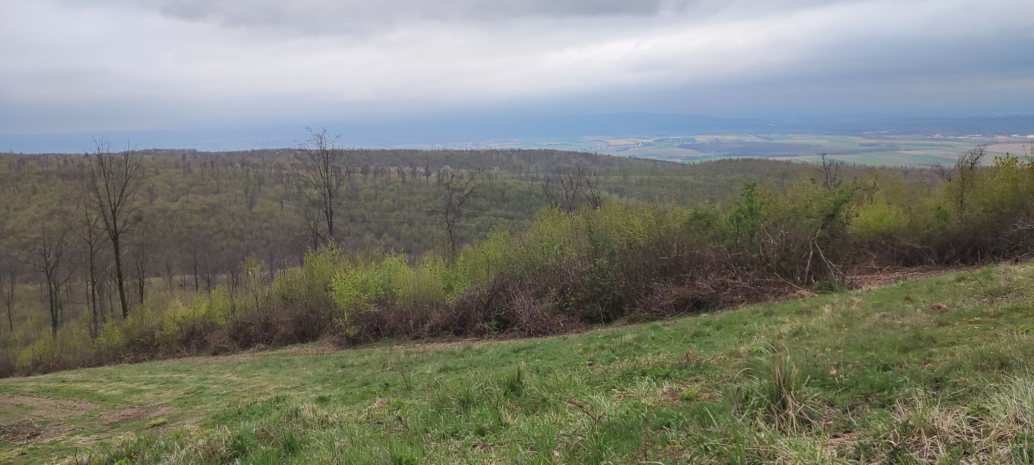 Blick zur Rosalia