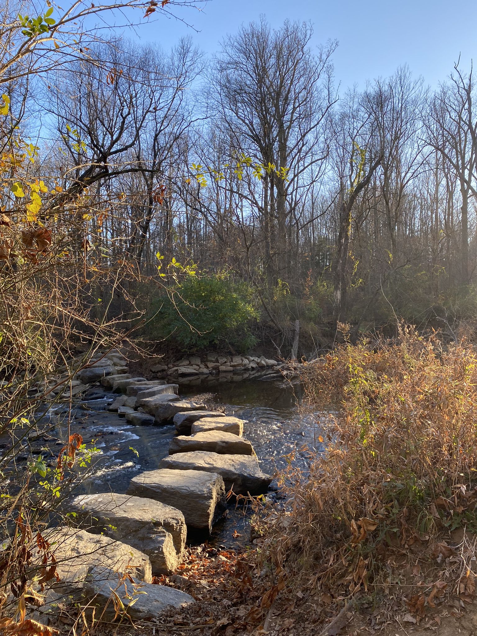Stepping stones cross a shallow river, surrounded by bare trees and autumn brush. - Cross Country Trail loop from Chesapeake and Ohio Canal National Historical Park