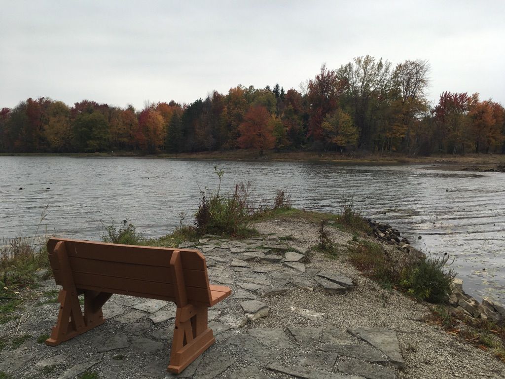 A wooden bench overlooks a lake with colorful autumn trees under an overcast sky. - History Trail