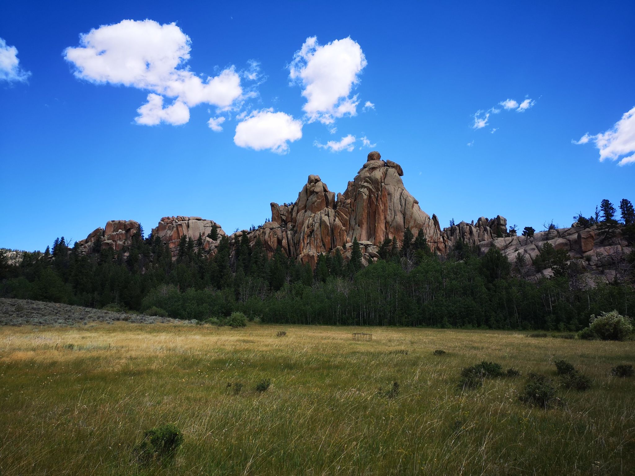 Sunny day with dramatic rocky peaks rising above a green field and forest. - Cow and Skeleton Trail Loop
