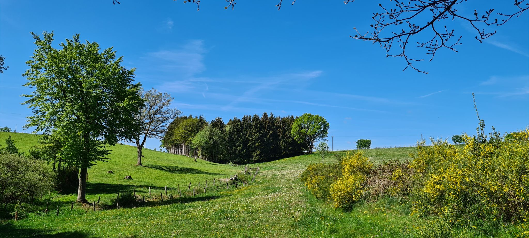 Am Holderbach entlang