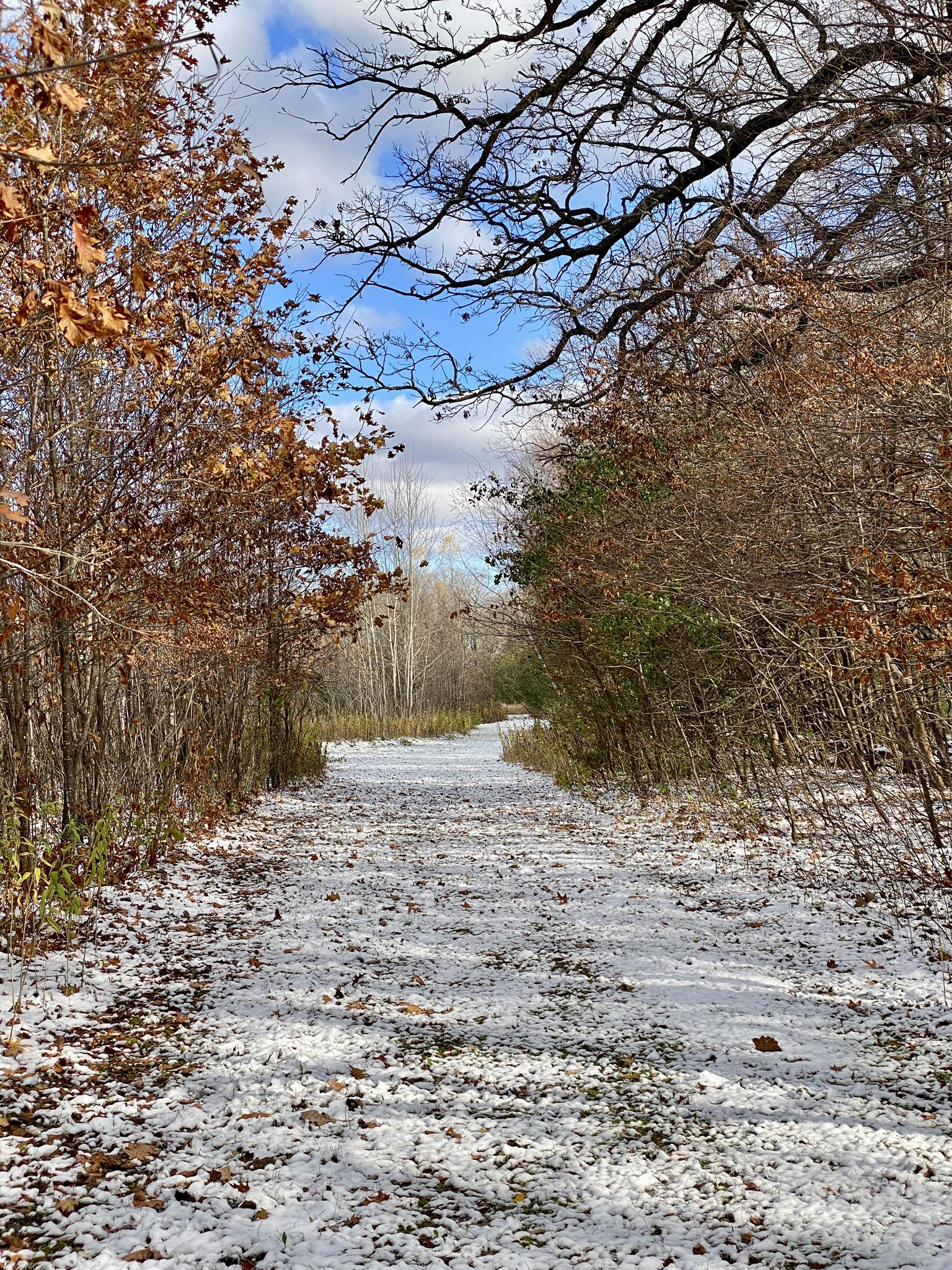 Snow-dusted path winds through autumn trees under a bright, partly cloudy sky. - Stagecoach Stop Building loop from Ney Homestead