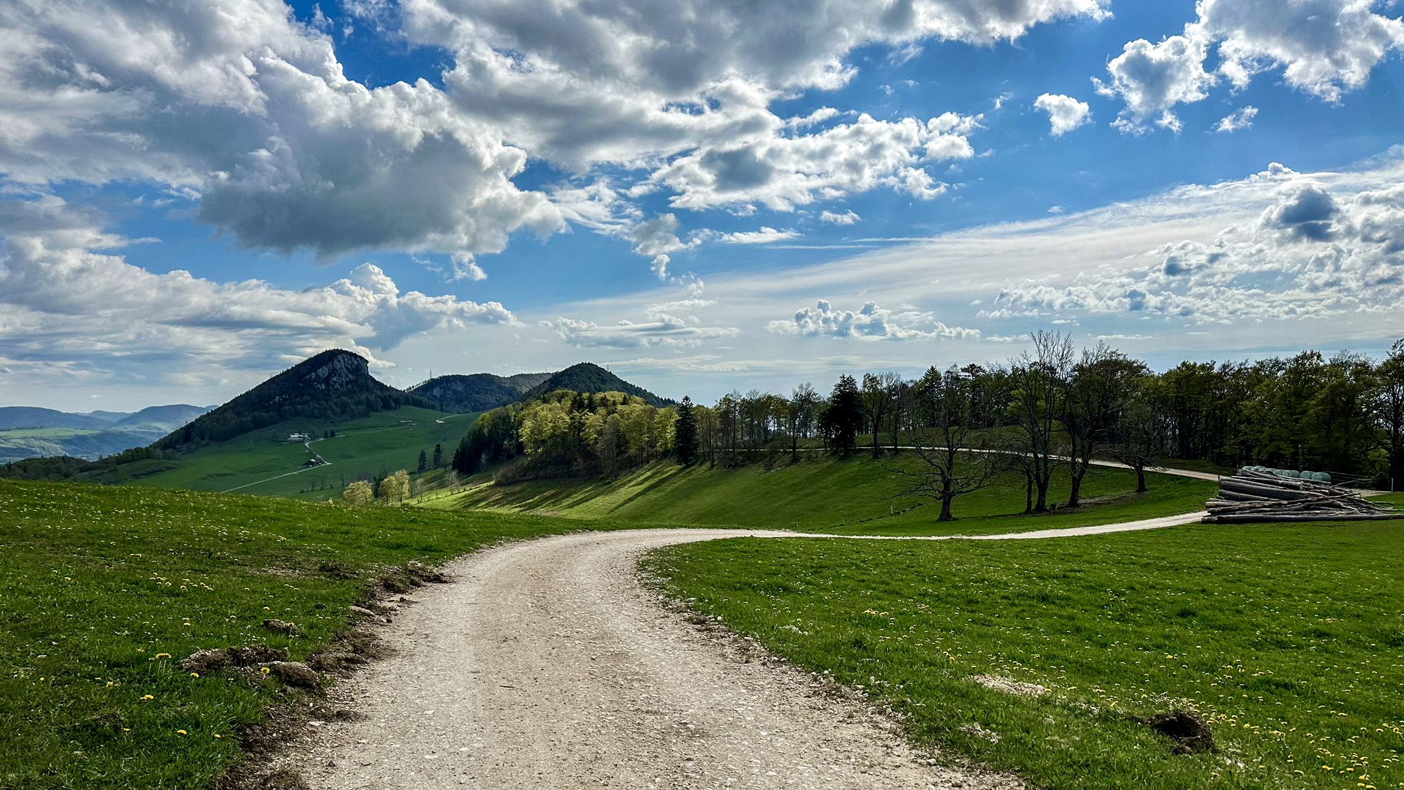 ...Rückblick...