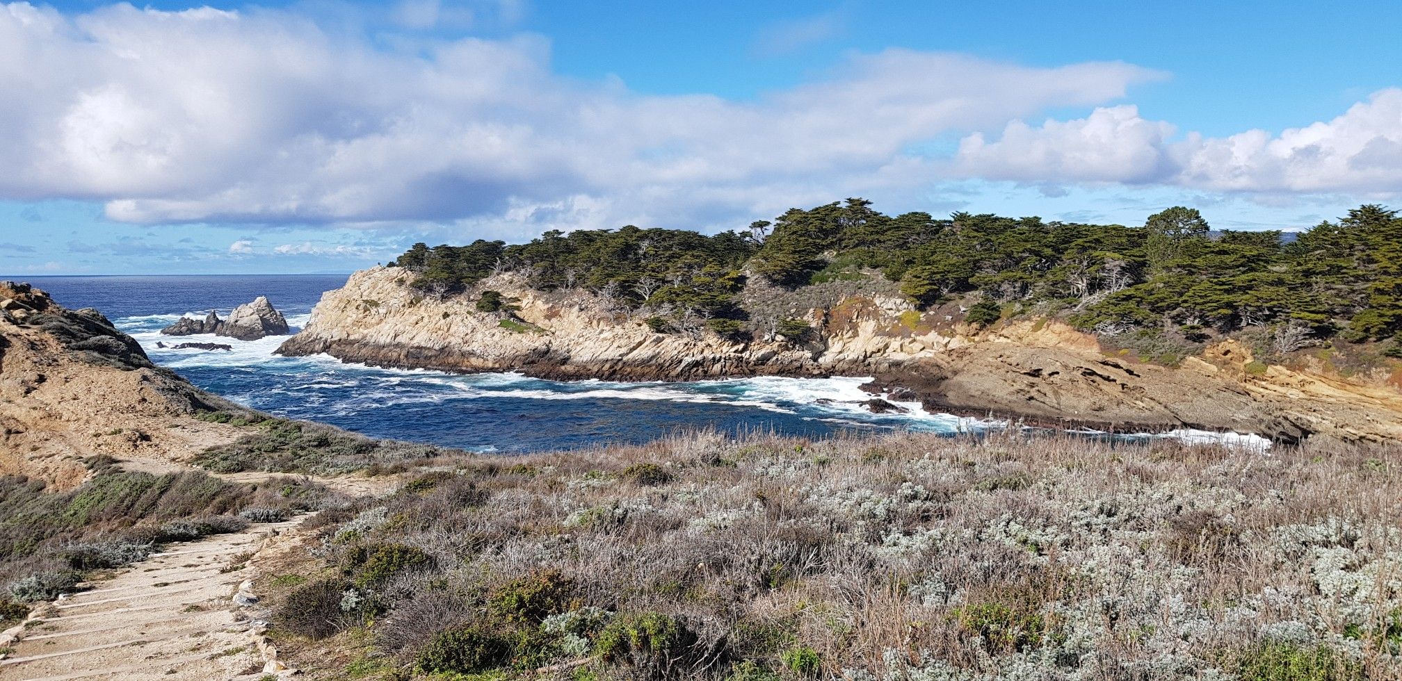 A dirt path leads to a cove with crashing waves, surrounded by green trees and shrubs. - Sea Lion Point – Rocky Ridge Trailhead loop from Mission San Carlos Borromeo de Carmelo
