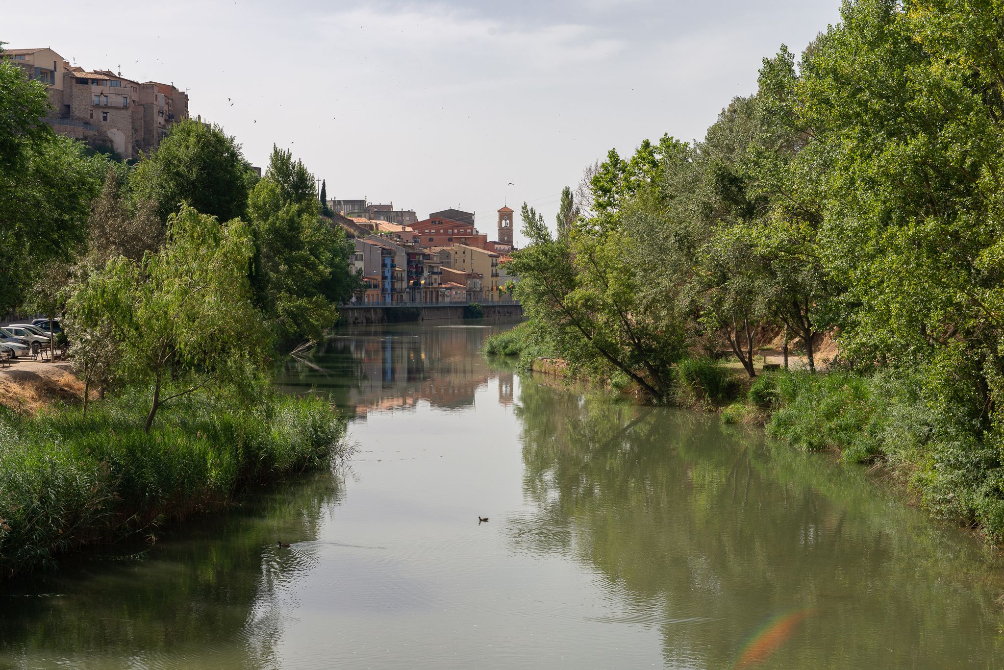 El Cardener, Súria