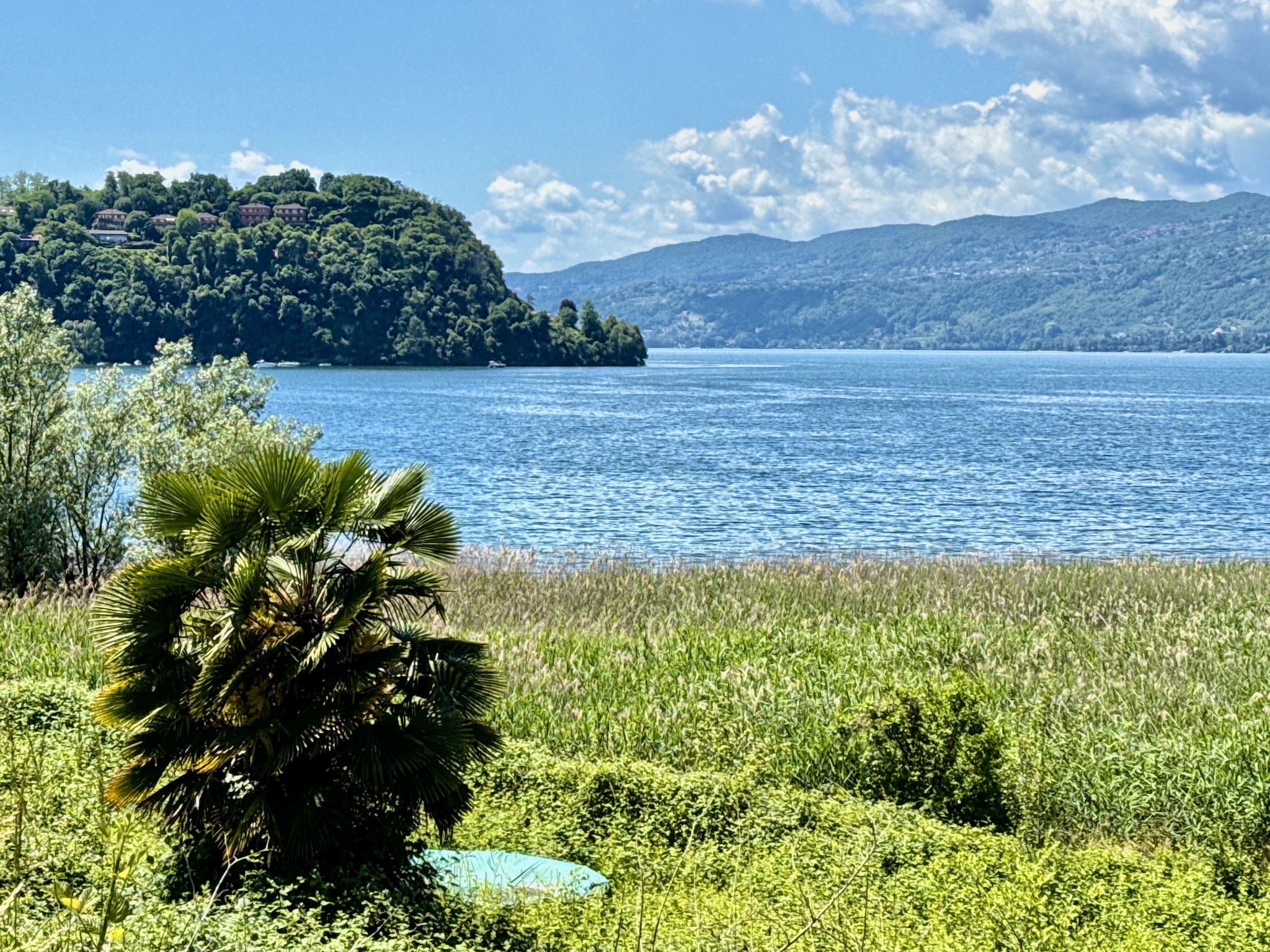 wieder am Lago Maggiore