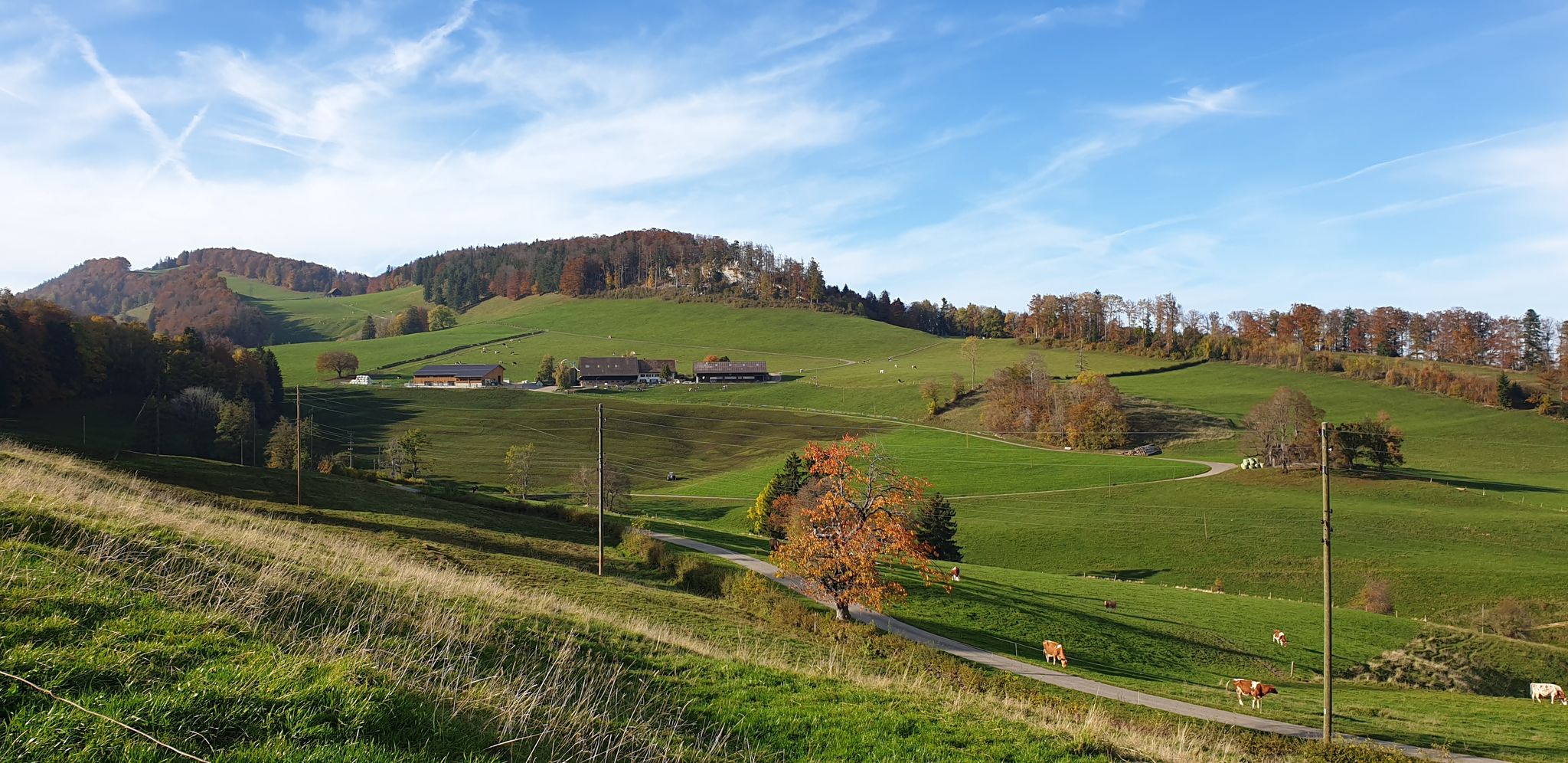 Hof Kellenberg