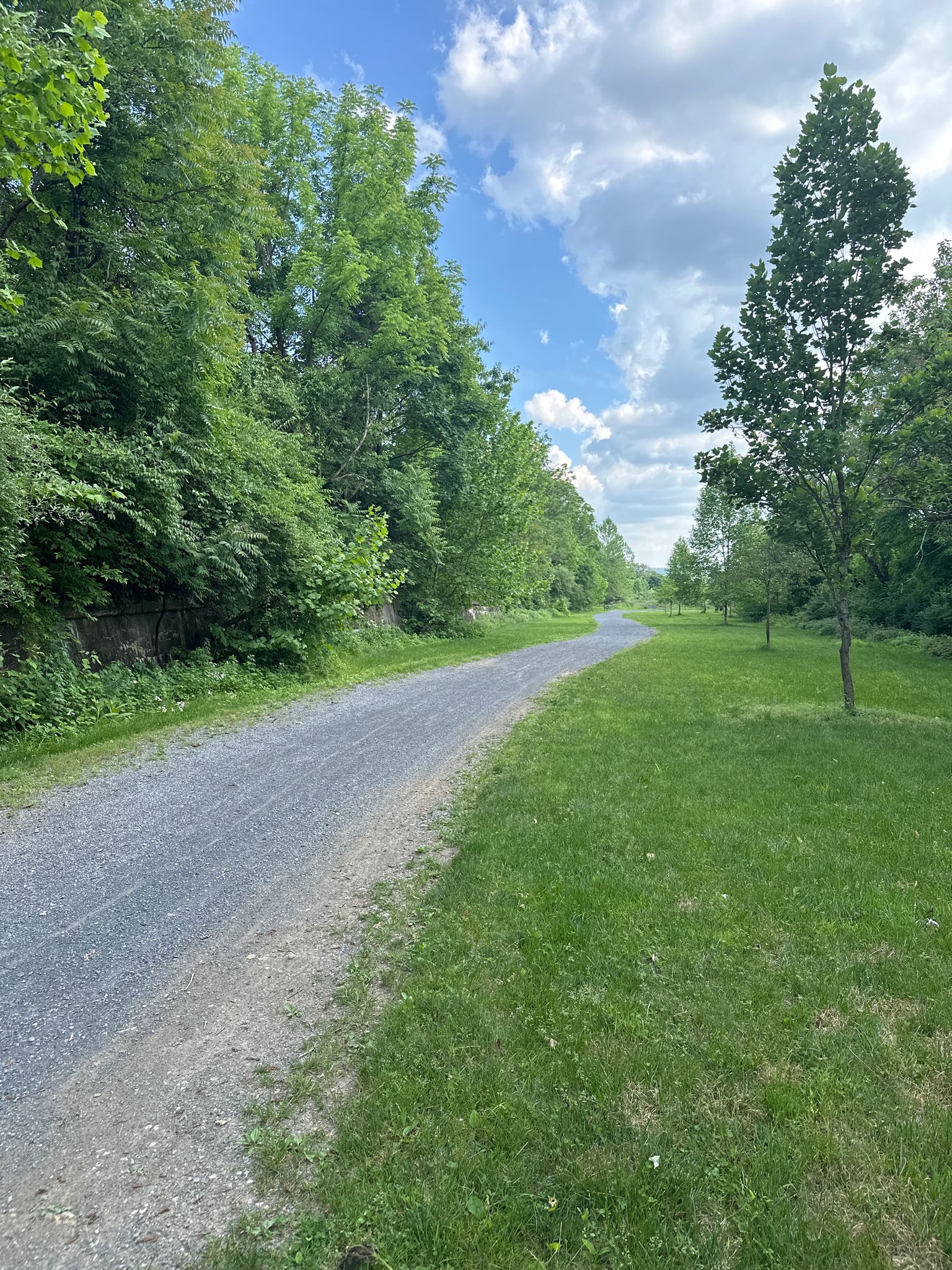 A gravel path winds through lush green trees and a grassy field. - South Bethlehem Greenway