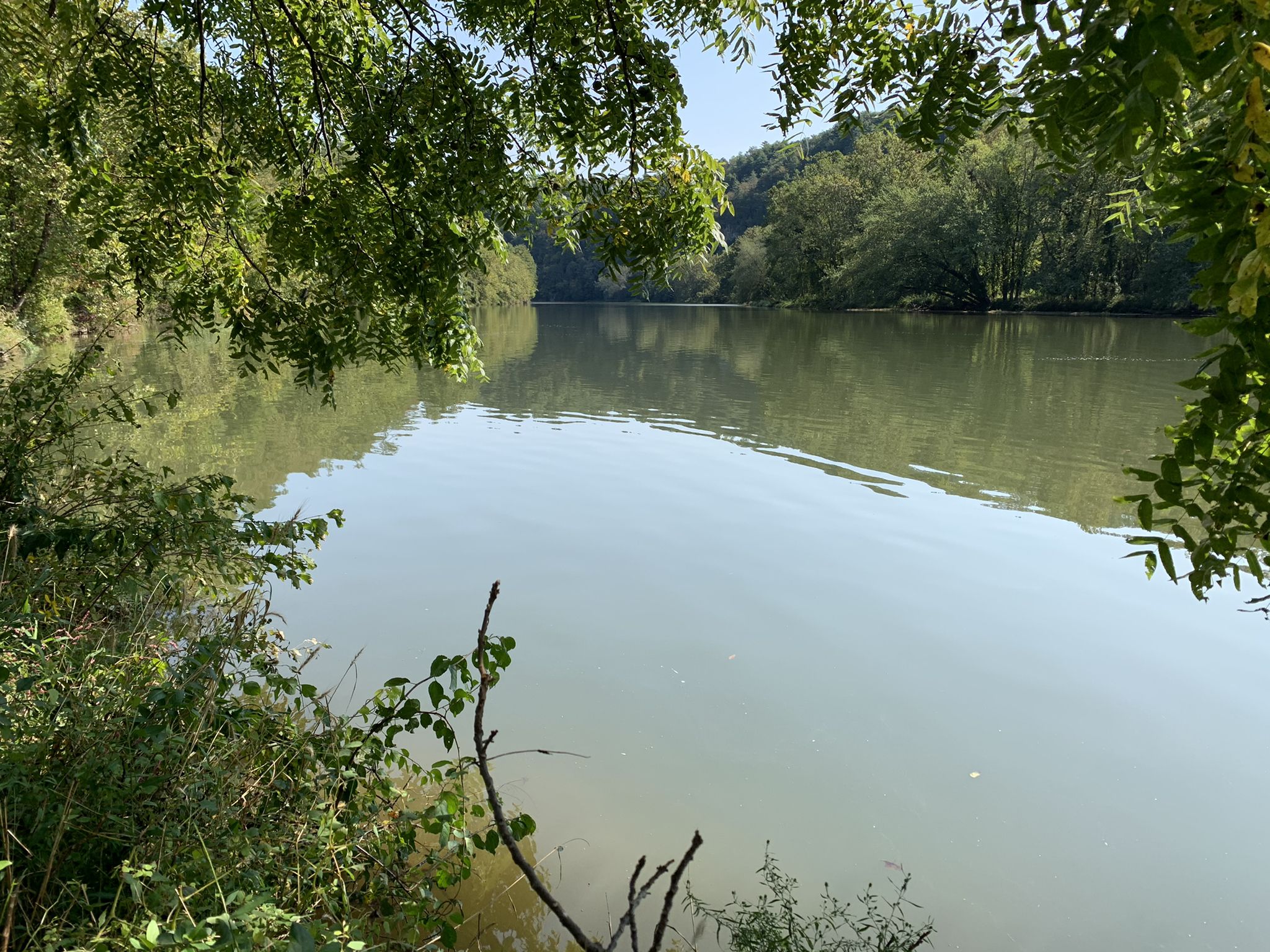 A calm river reflecting trees, framed by green foliage in daylight. - New River Trail Loop from Fries